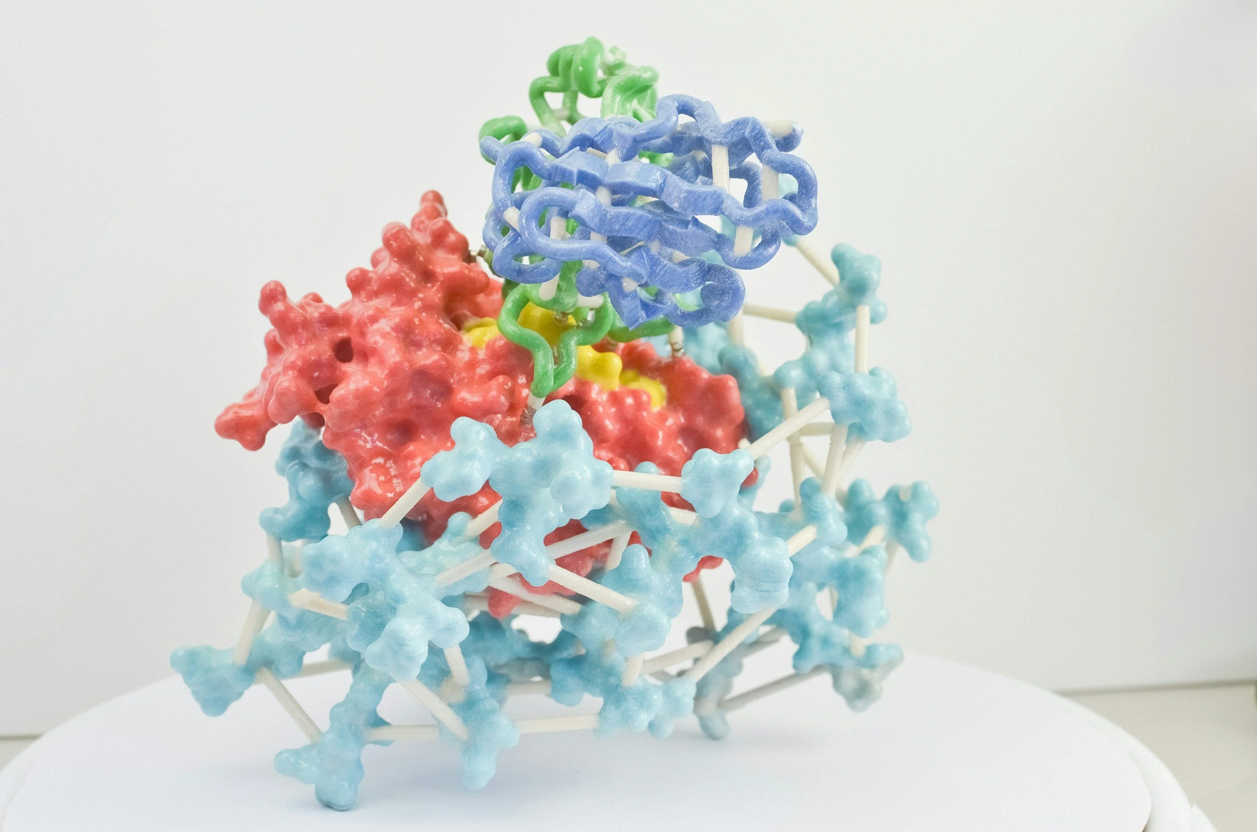 Colorful molecular model with connected blue, green, red, and yellow components on a white background.