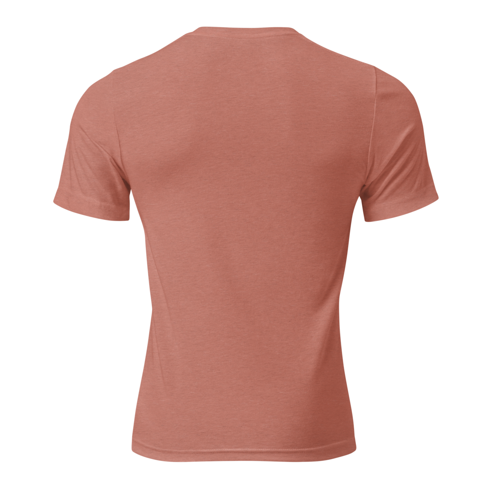 unisex-tri-blend-t-shirt-mauve-triblend-back-69f825b11d787.png