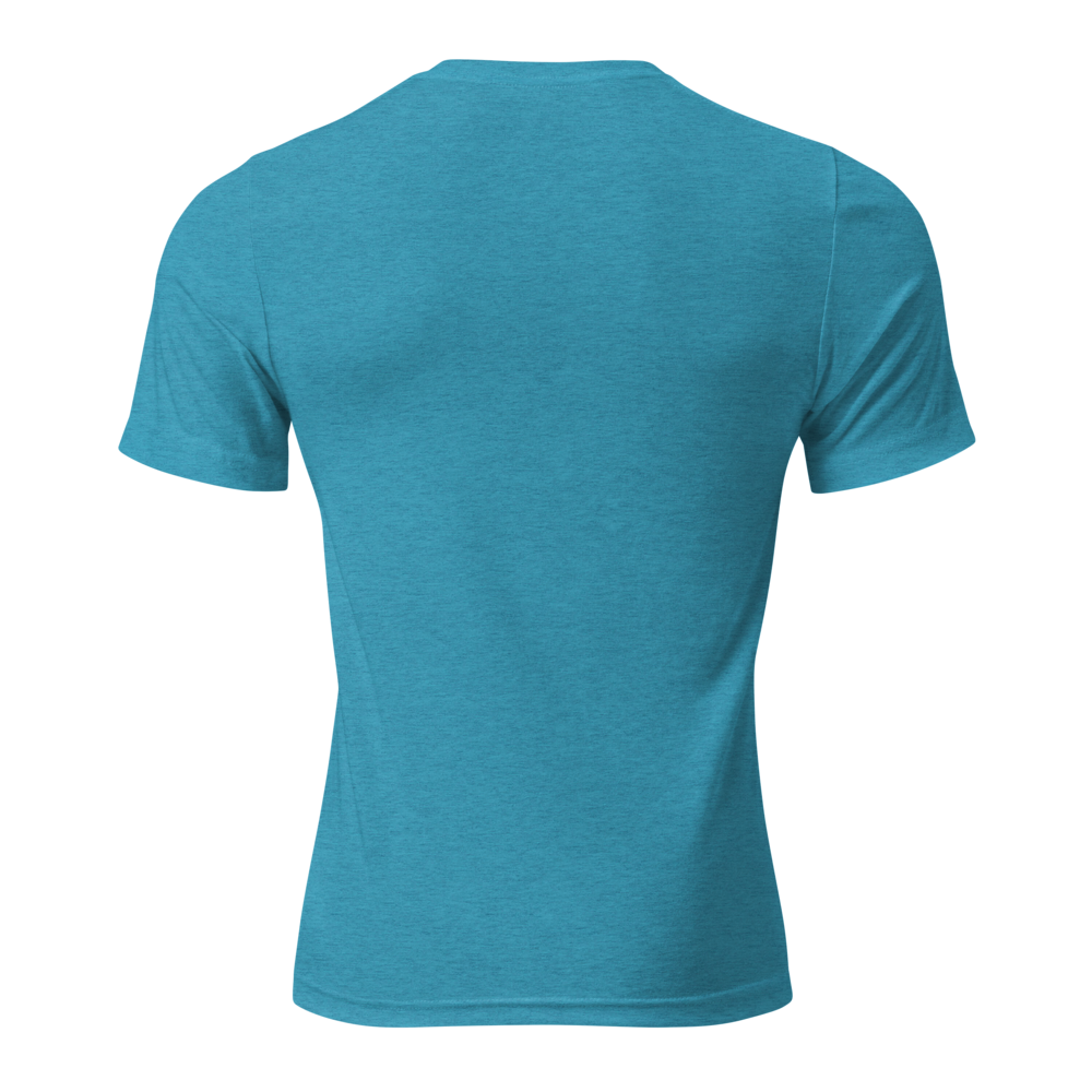 unisex-tri-blend-t-shirt-aqua-triblend-back-69f81e971c005.png