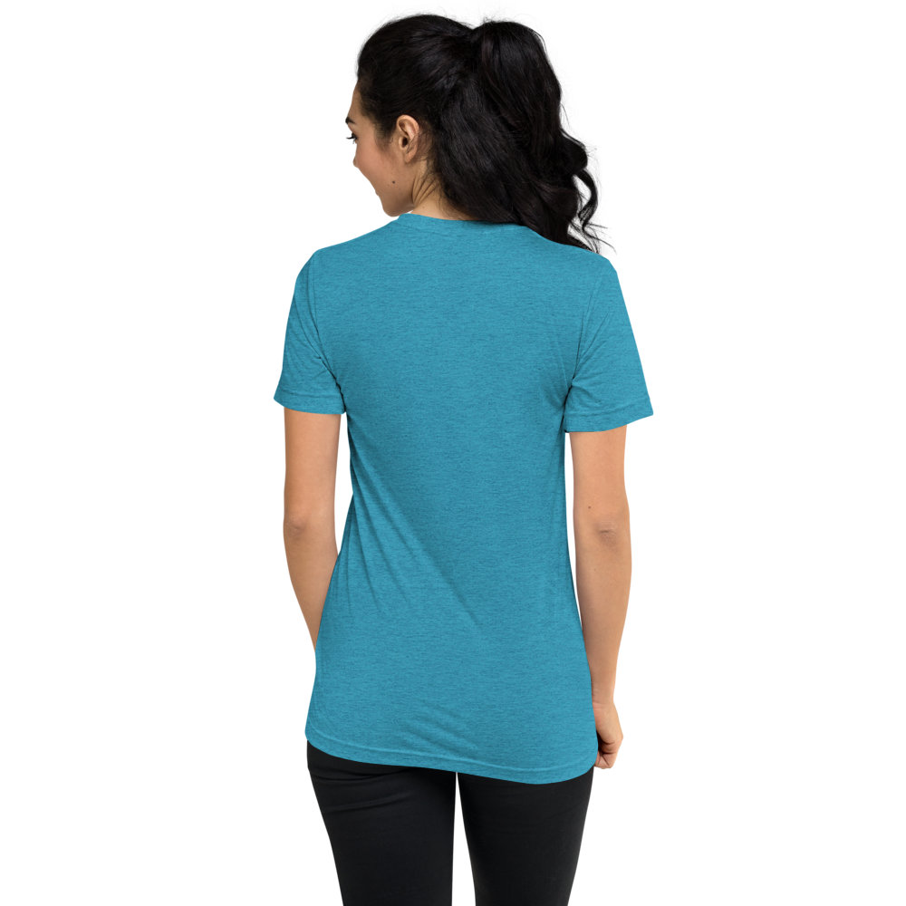 unisex-tri-blend-t-shirt-aqua-triblend-back-69f81e96a6e61.png