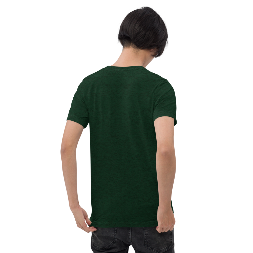unisex-tri-blend-t-shirt-emerald-triblend-back-69f829e297fcc.png