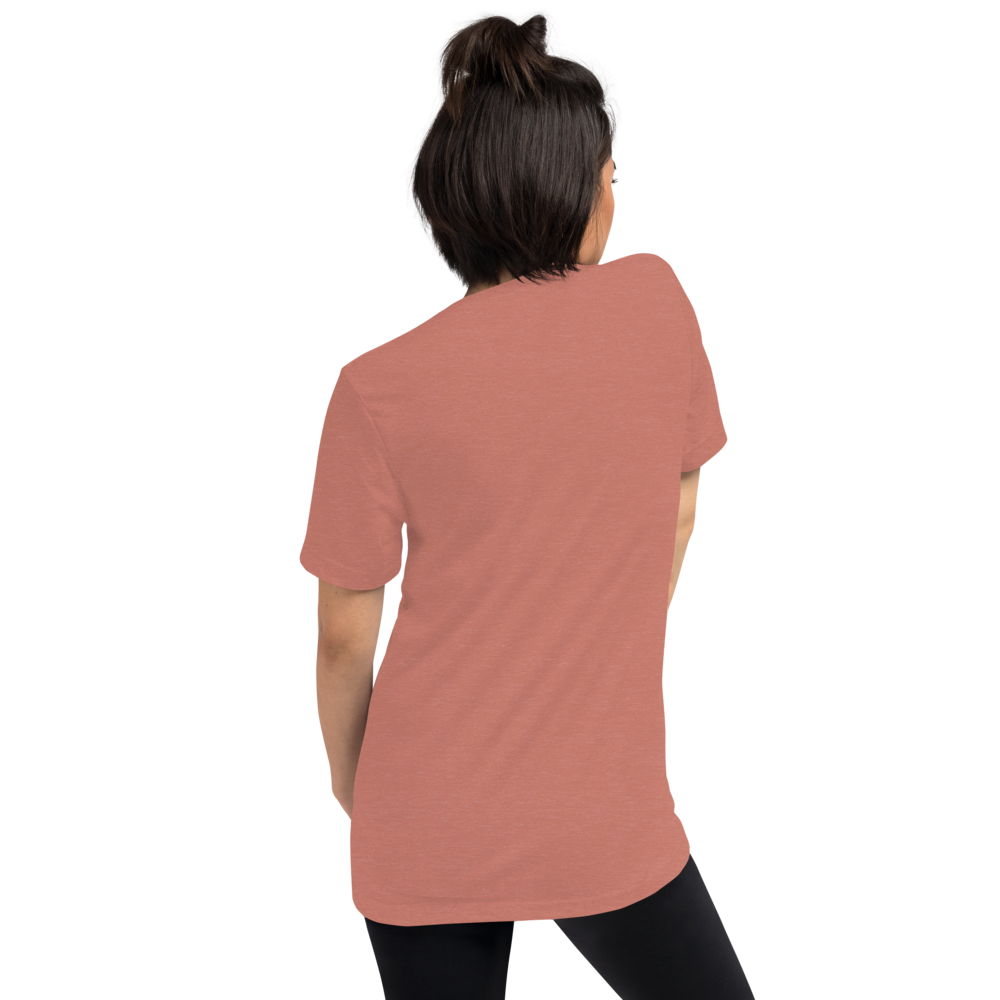 unisex-tri-blend-t-shirt-mauve-triblend-back-69f825b13f240.png
