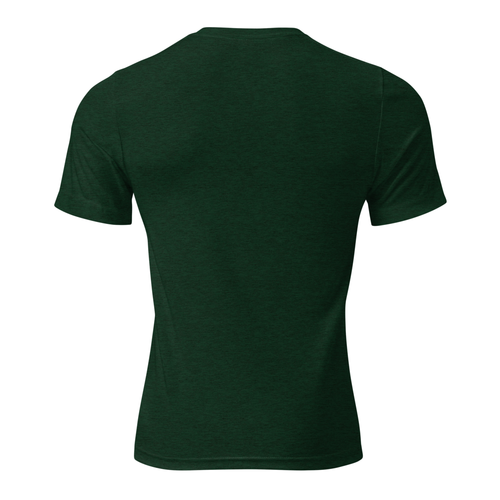 unisex-tri-blend-t-shirt-emerald-triblend-back-69f829e289ebc.png