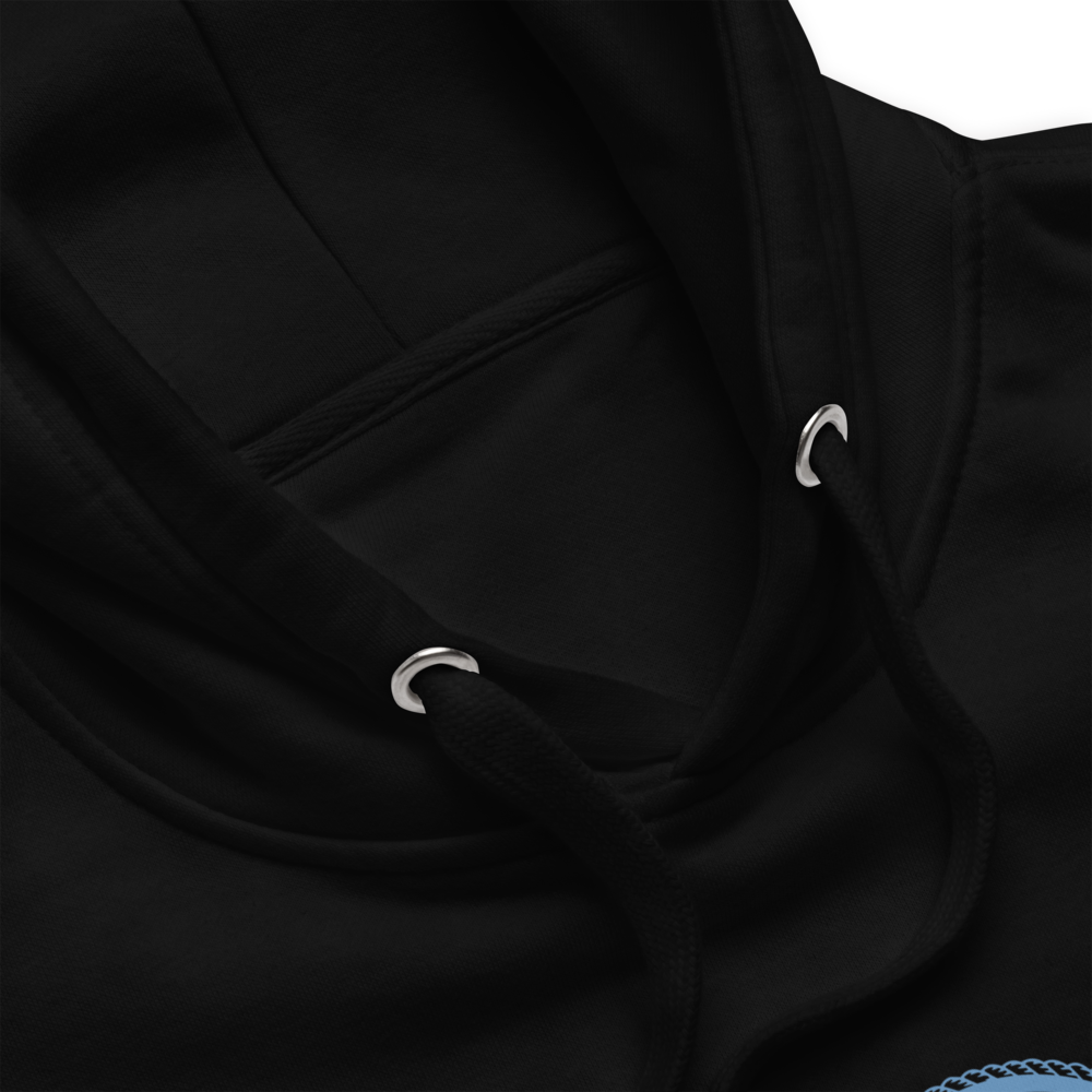 unisex-premium-pullover-hoodie-black-product-details-69f703ee7bdb8.png