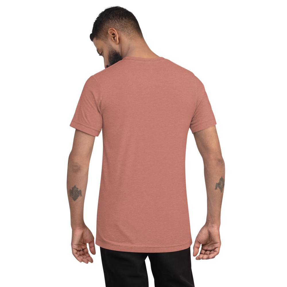unisex-tri-blend-t-shirt-mauve-triblend-back-69f825b12ab3f.png