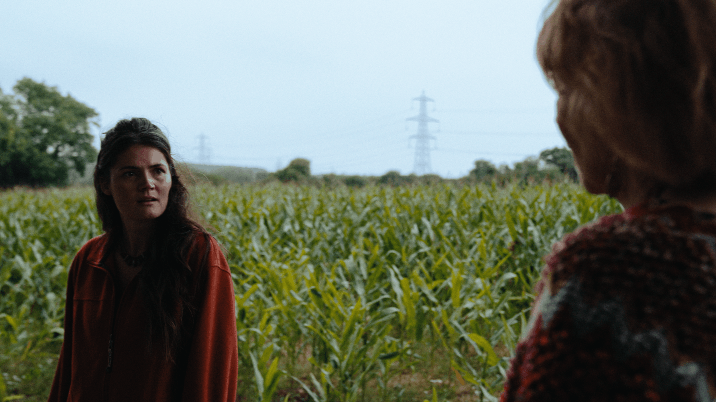 Two women are having a conversation in a green cornfield with power lines in the background.