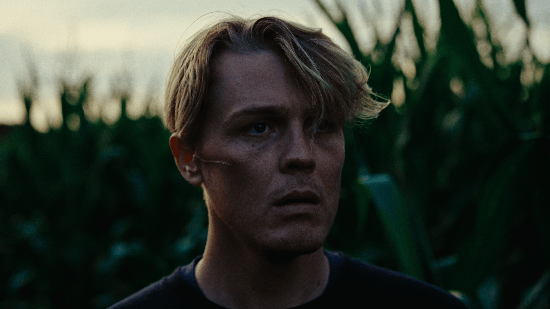 Callum Lindsay Dorset Cinematographer videographer video production camera filmmaker England Bristol Bath youtube videographer short film Jack Forsyth-Noble Kathryn McLoughlin