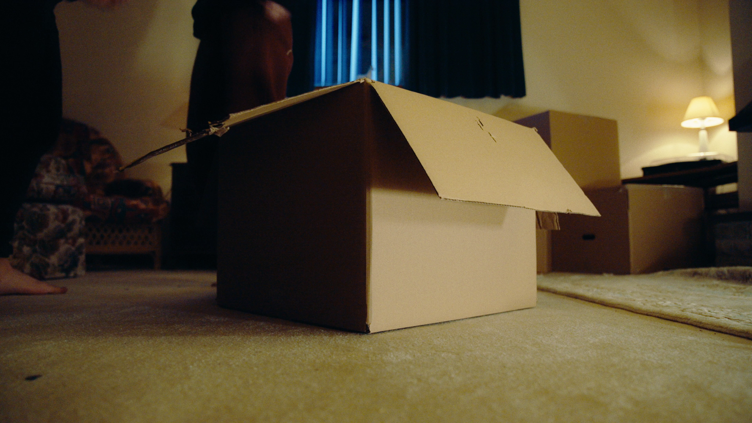 A cardboard box with an open flap sits on a beige carpet in a dimly lit room. There is a person in a red jacket standing behind the box, with their lower body partially visible. The room has a TV stand, a pile of books, a lamp, and another cardboard box in the background, with a window covered by blue curtains.
