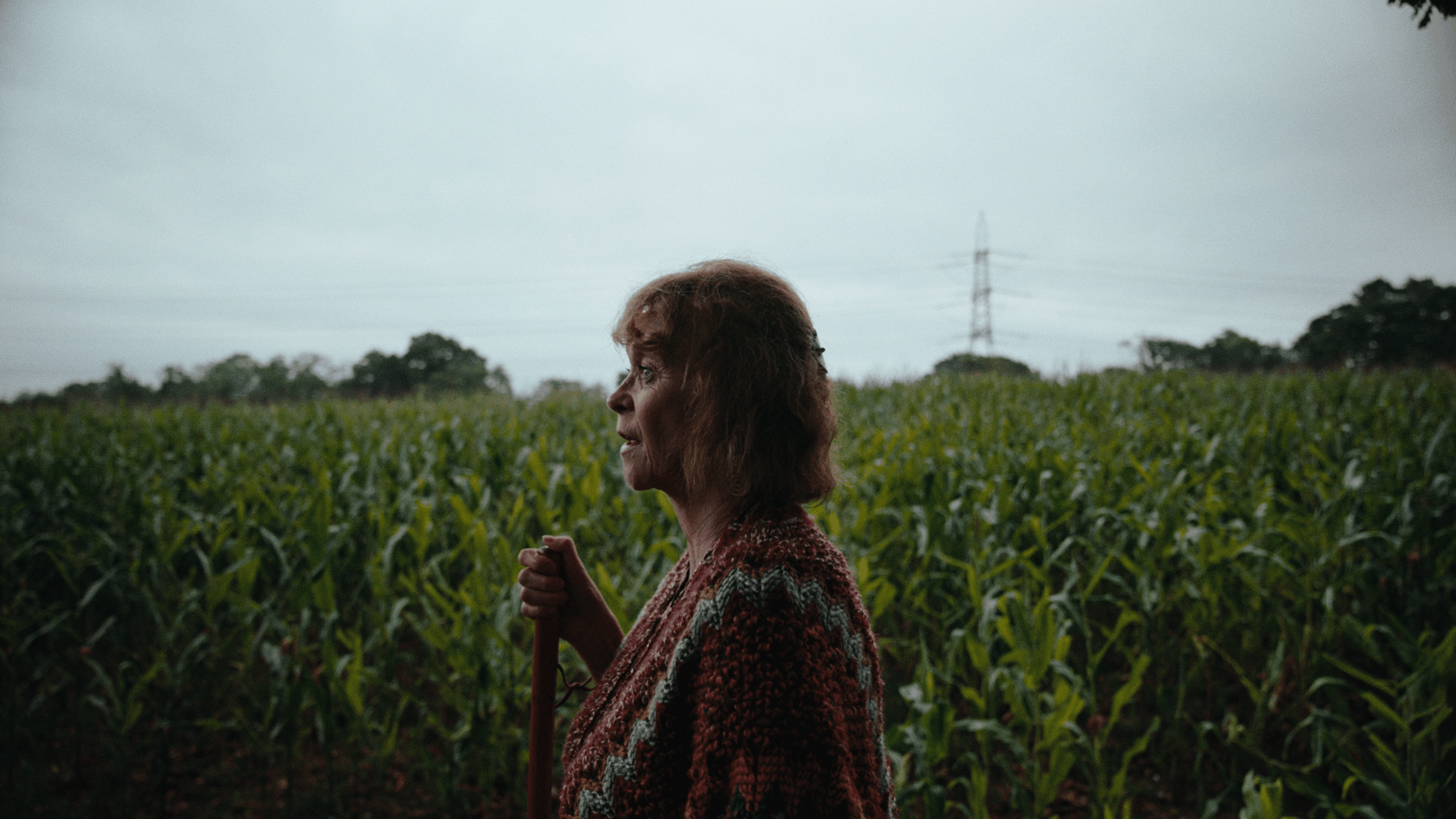 An elderly woman with red hair, wearing a colorful sweater, walking through a green cornfield holding a walking stick. Overcast sky and power lines are visible in the background.