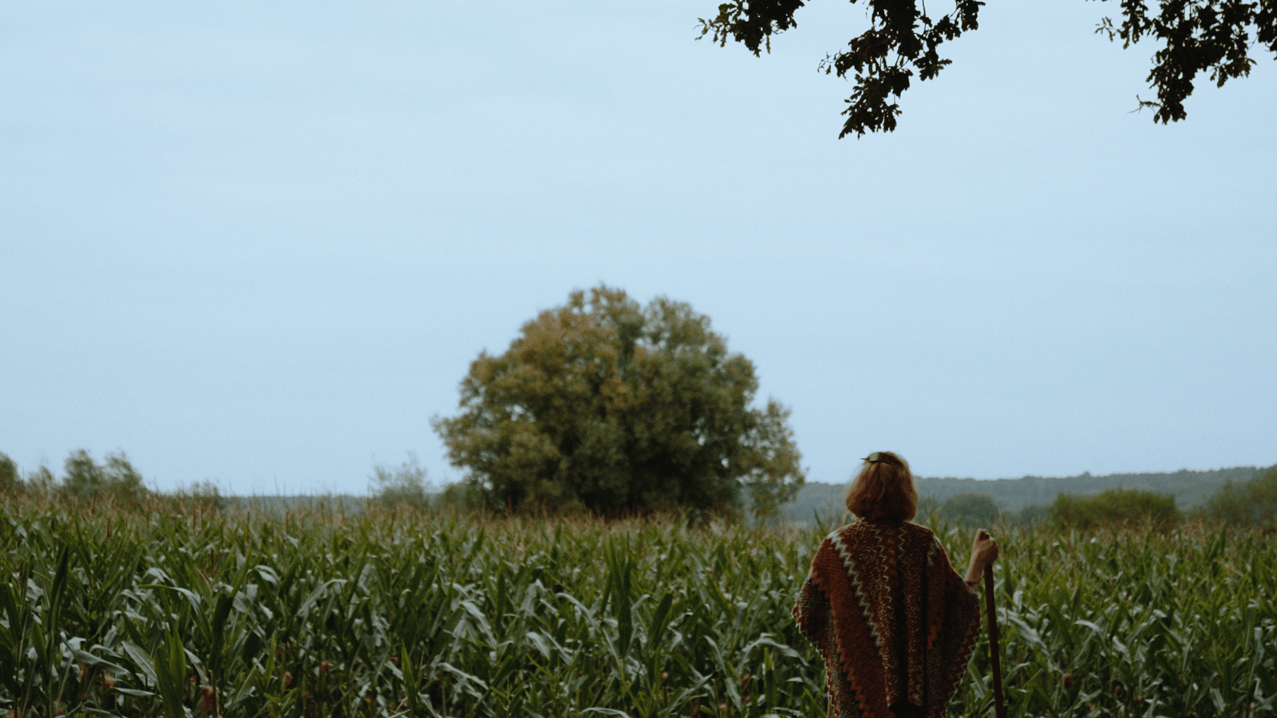 A person with brown hair wearing a zigzag patterned sweater stands in a field of tall green crops, holding a walking stick, looking toward the distant horizon with trees and a cloudy sky.