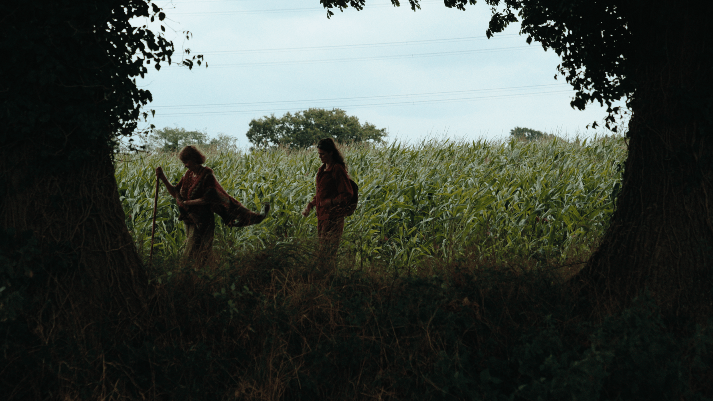 Two women walking through a cornfield, framed by tree trunks and branches, with overcast sky and power lines in the background.