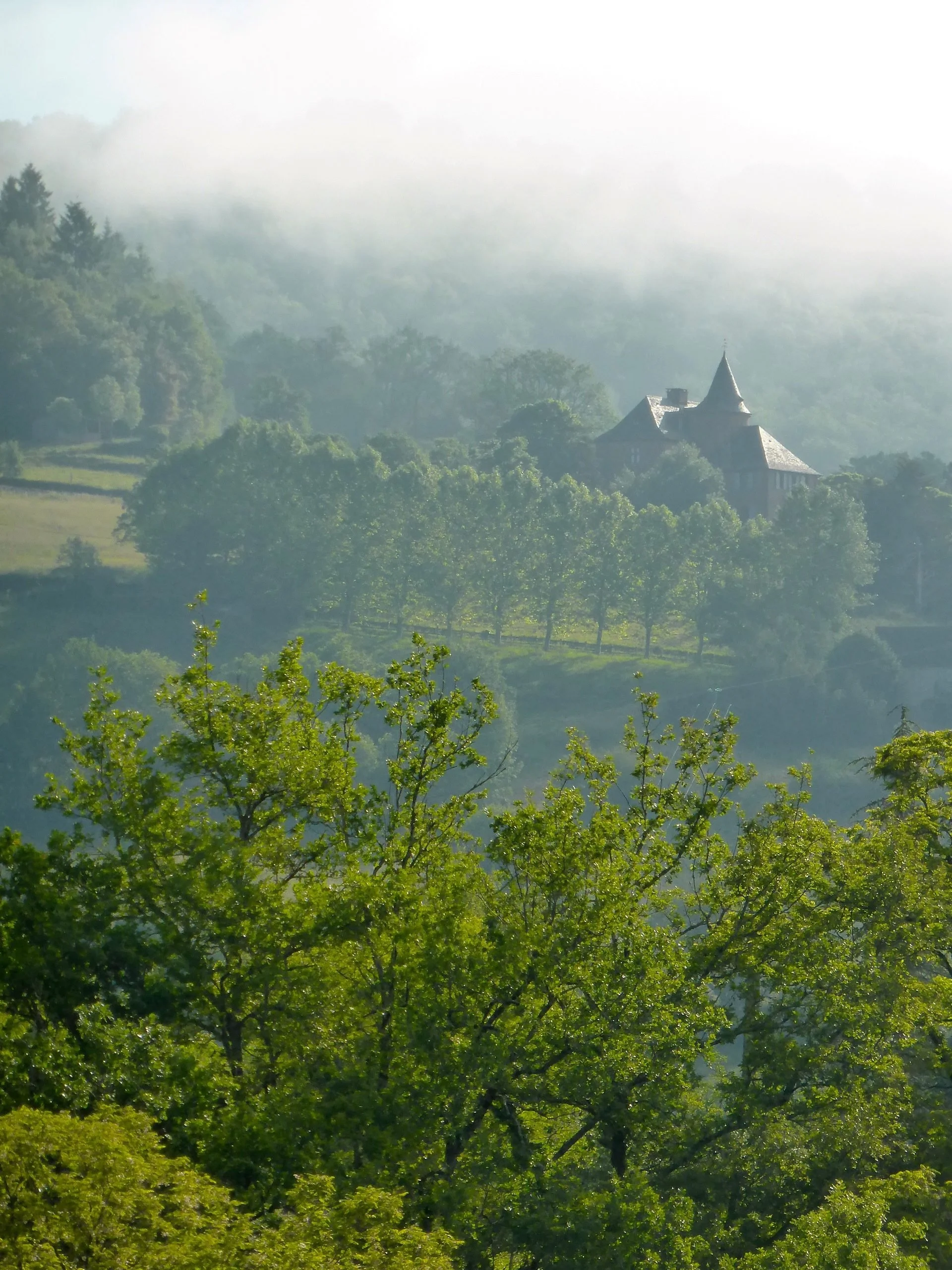 Château de Marsac dans la brume