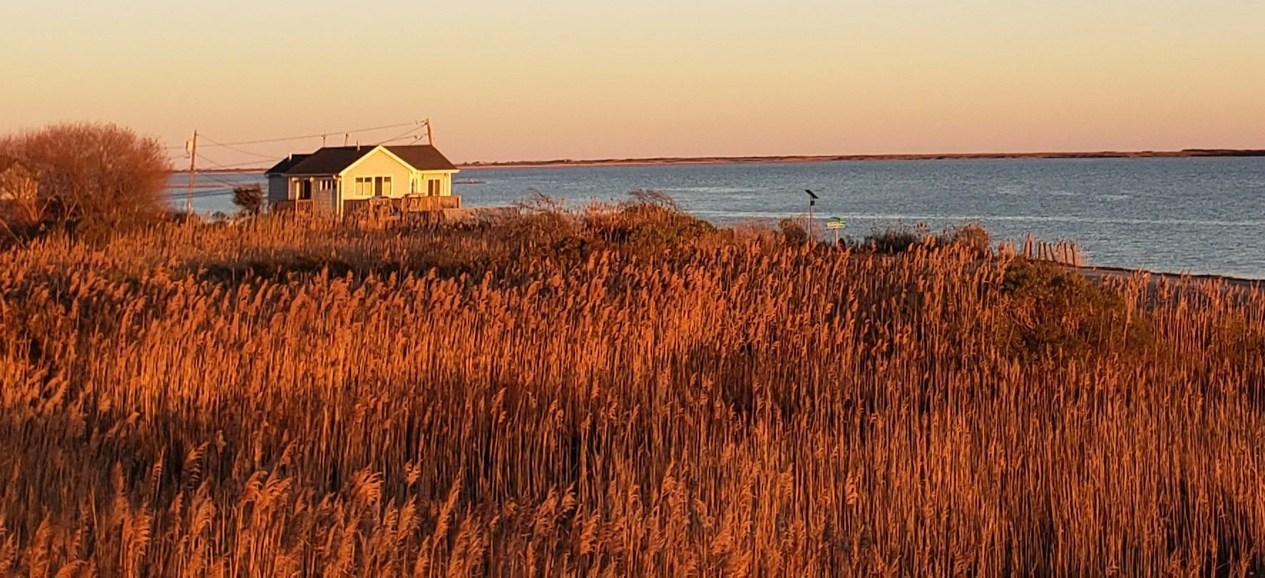A house on a hilltop overlooking a body of water, with tall, golden brown reeds in the foreground during sunset. Painted by Lorraine Rimmelin.