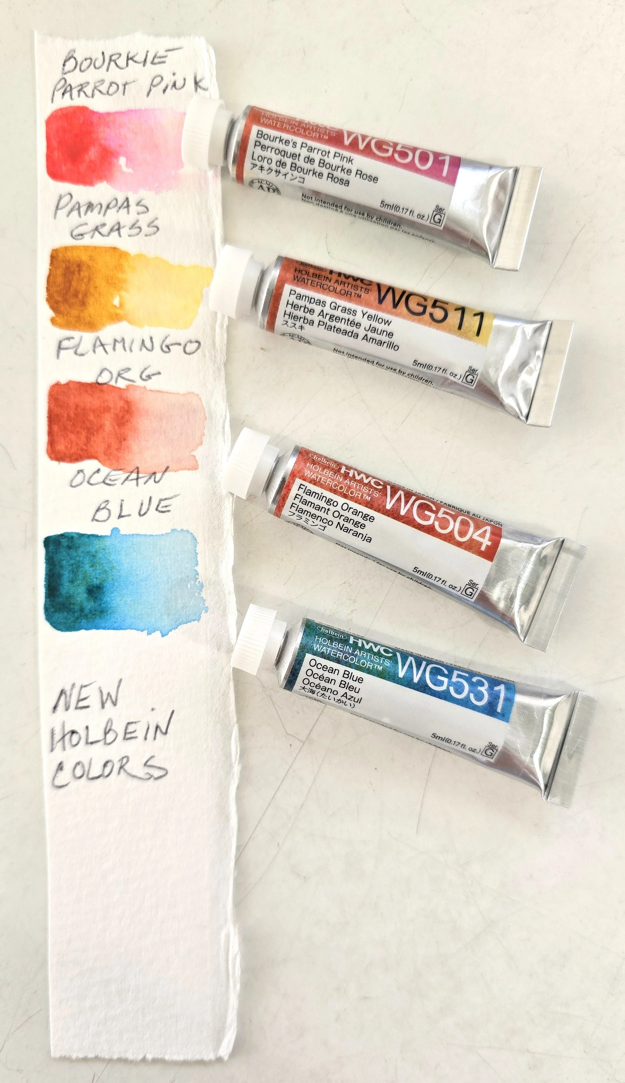 Color swatches of watercolor paints labeled with names: Bourke's Parrot Pink, Pampas Grass, Flamingo Orange, Ocean Blue, and an additional color not fully visible. Each swatch is accompanied by handwritten notes on a torn piece of paper. Painted by L