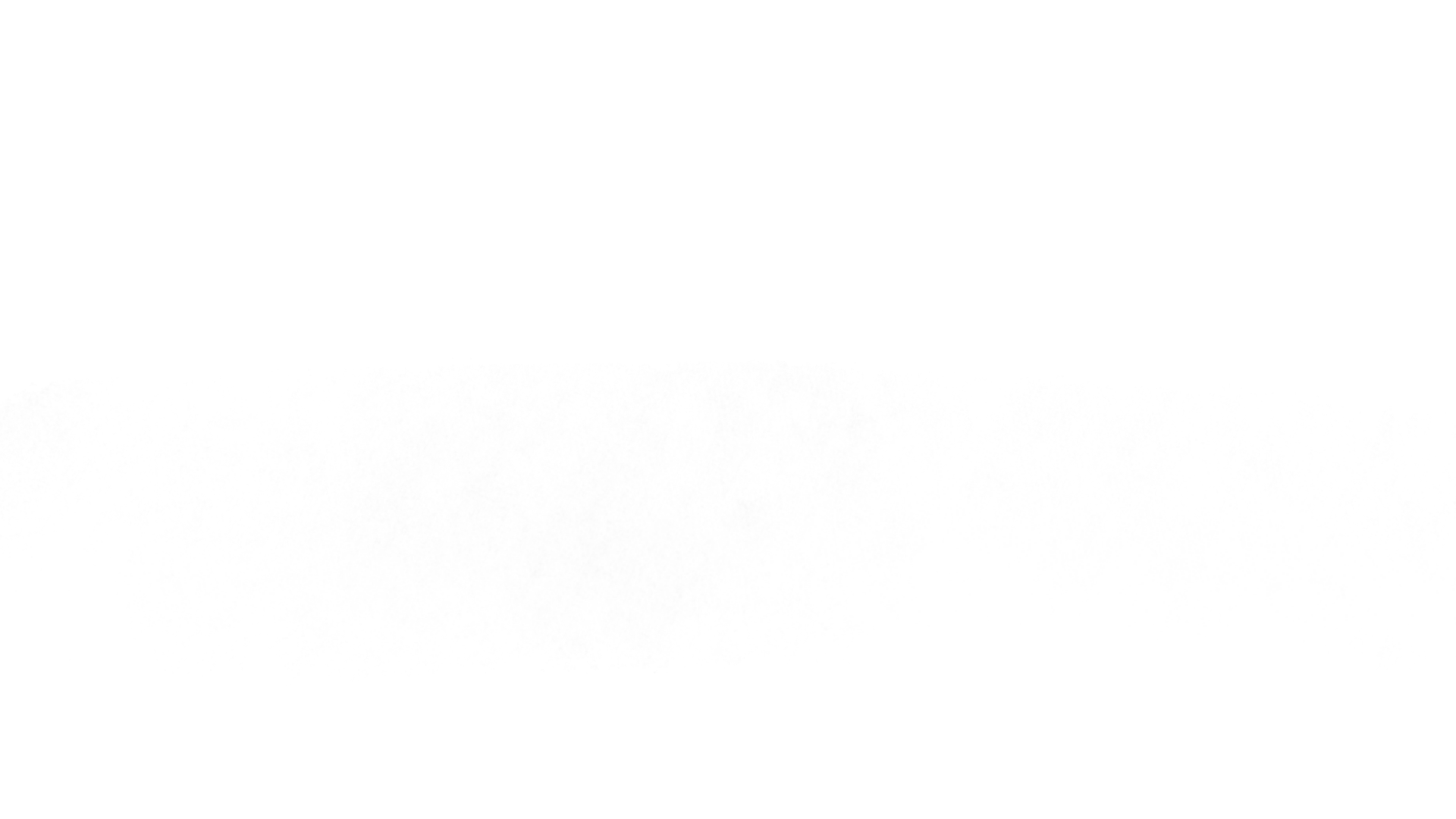 A silhouette of a dog with its head turned, standing on a flat surface with a shadowed background.