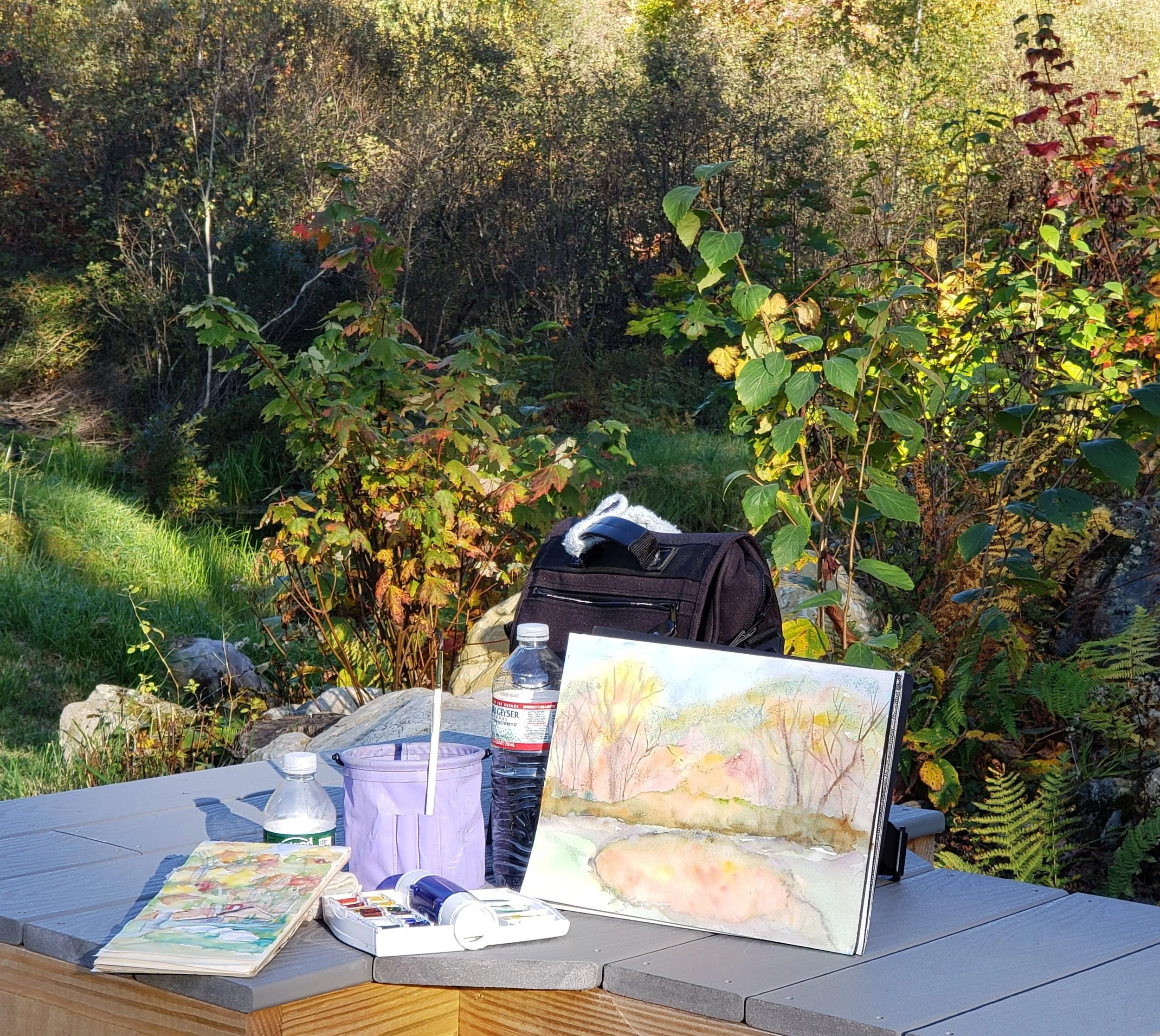 PLEIN AIR IN VERMONT.jpg