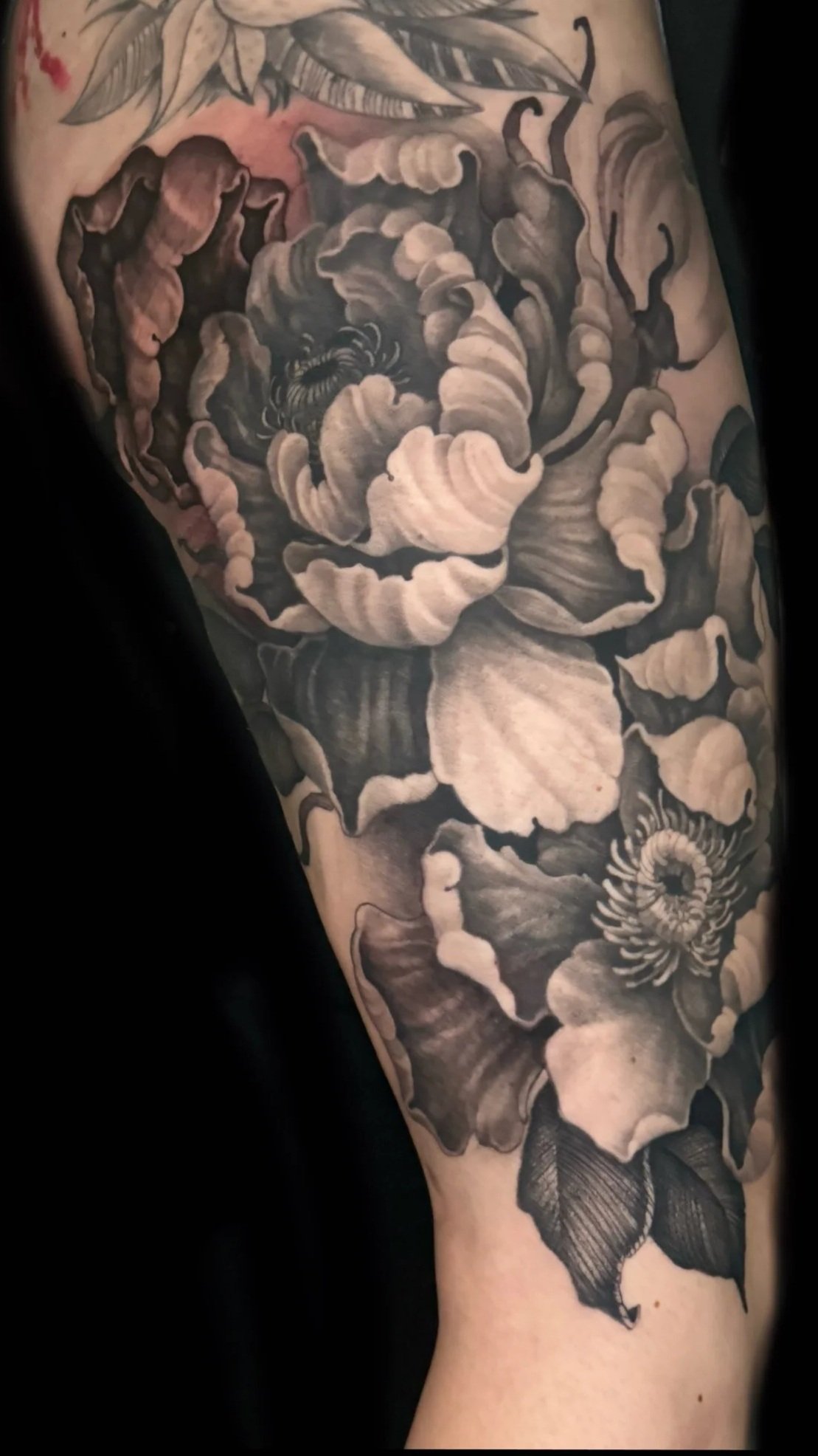 Black and gray tattoo of peony flowers by Richie Lucero