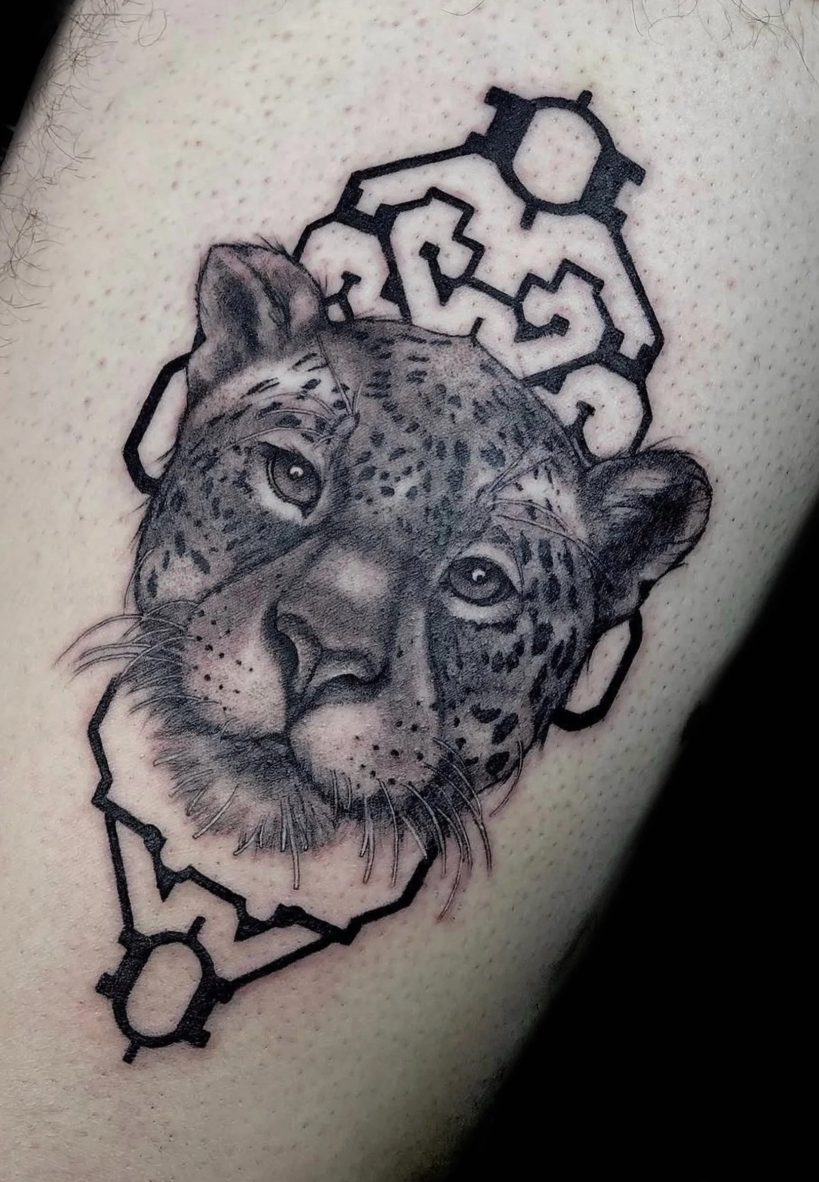leopard portrait realism black and grey tattoo with geometric designs in the background