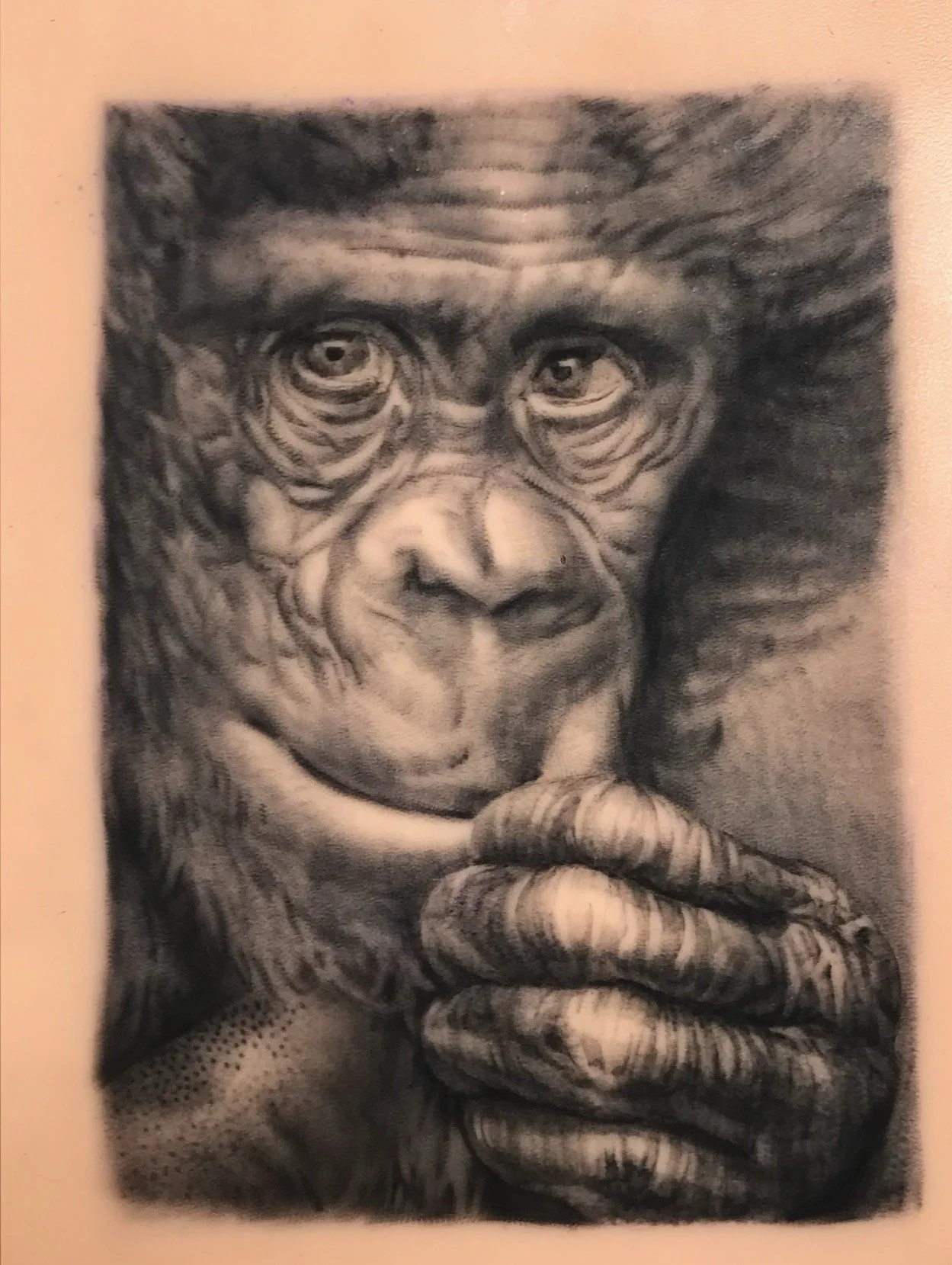 chimpanzee black and grey realistic tattoo