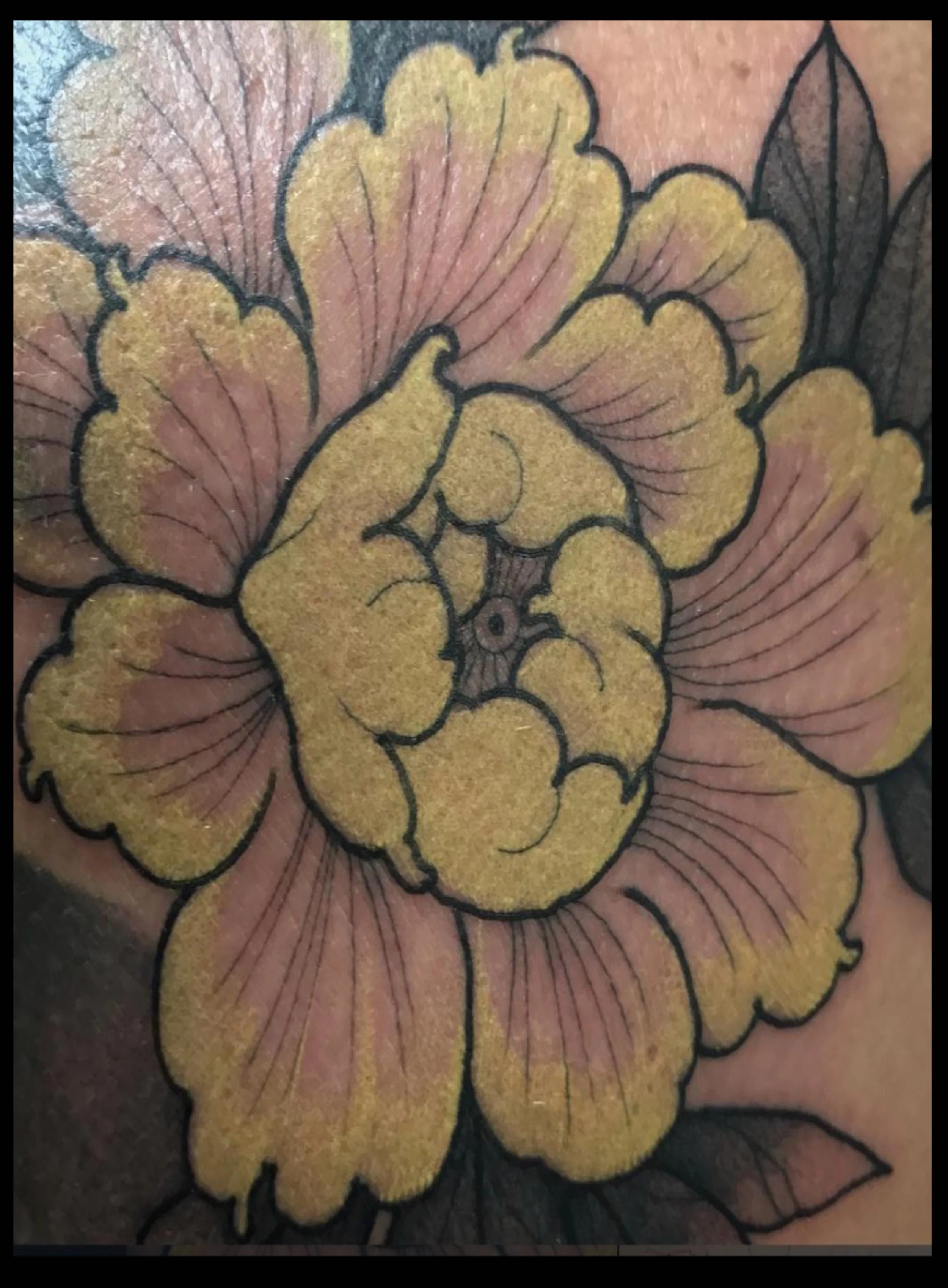 Close-up of a Japanese style peony by Marie Makowski 
