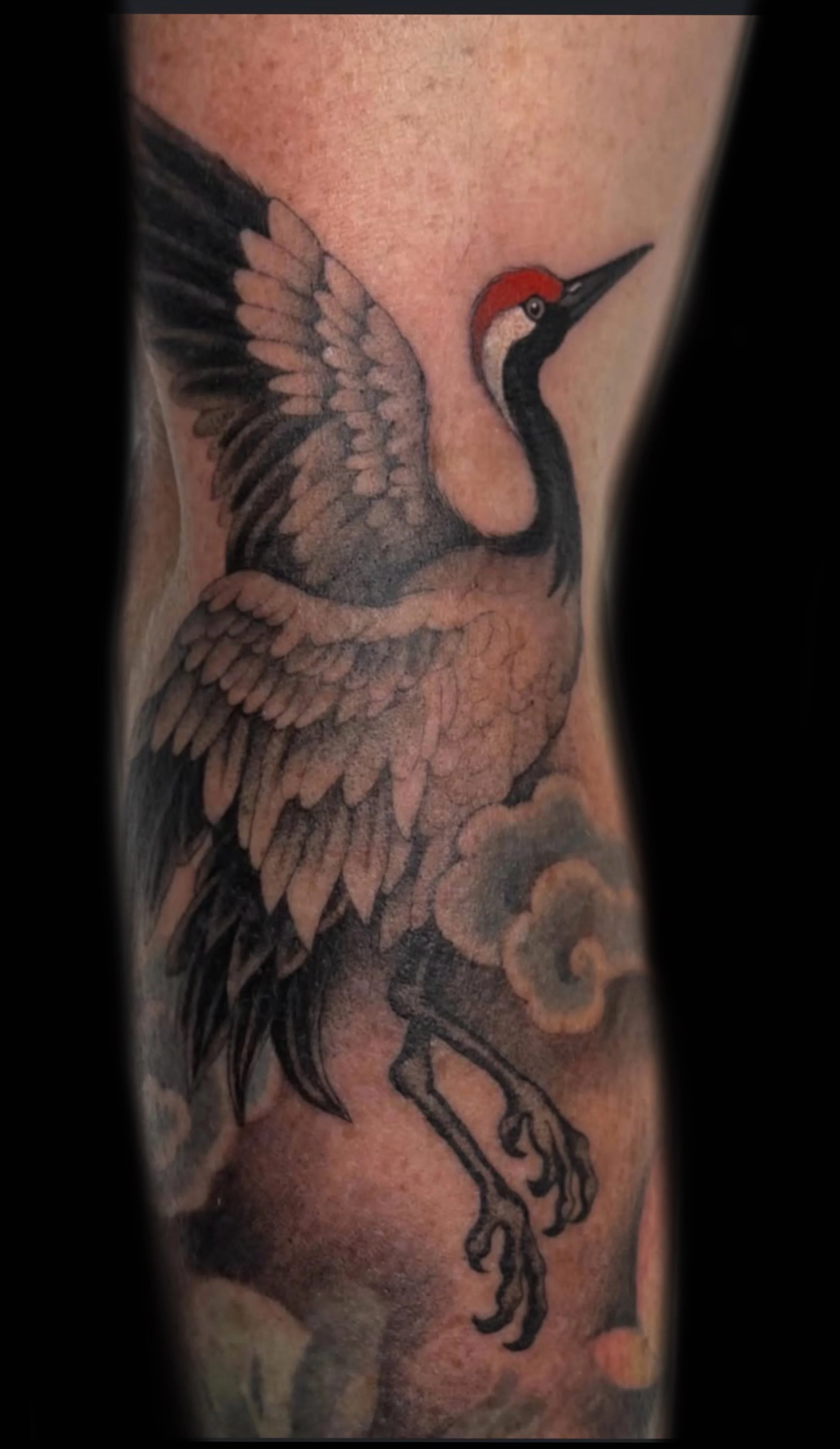 Tattoo of a Japanese crane by Marie Makowski