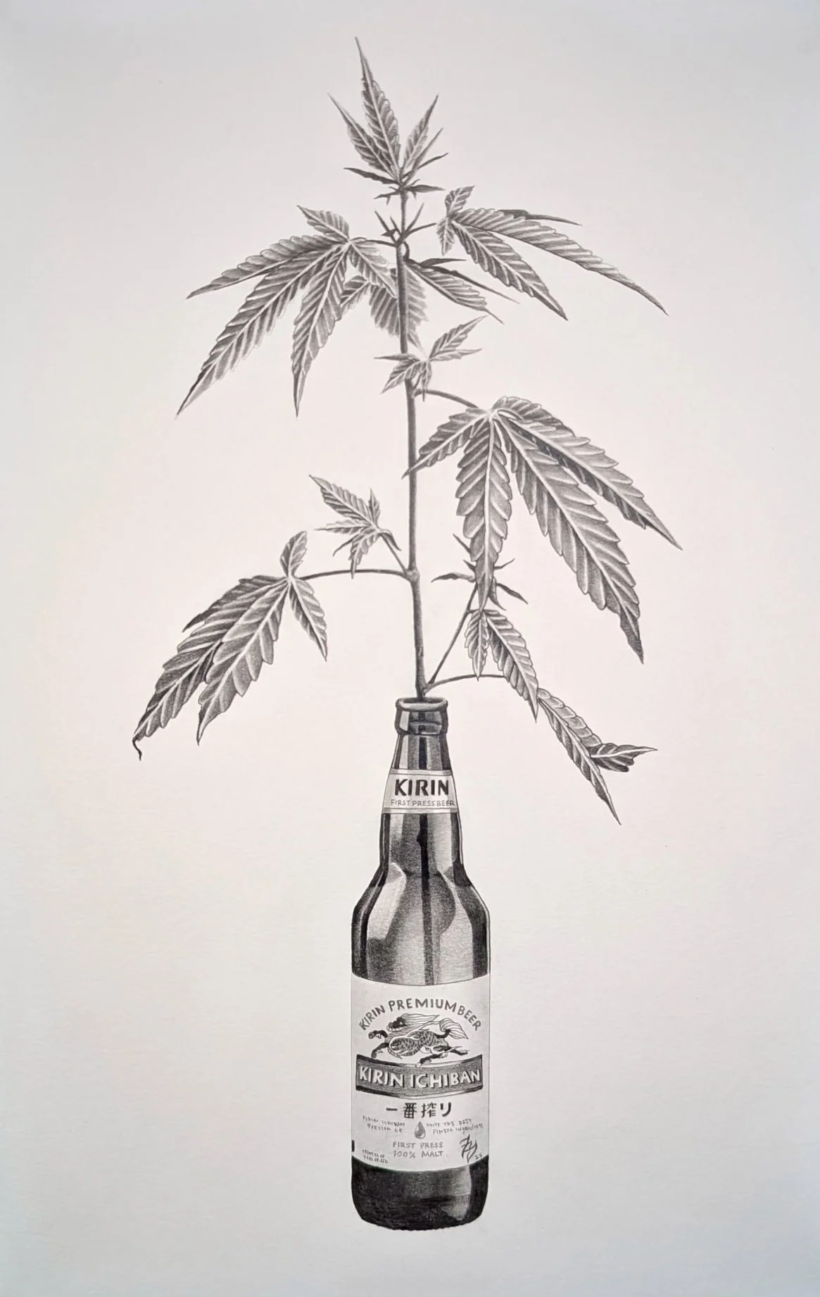 A drawing of a beer bottle with a cannabis plant growing out of it  by Zach Yokoyama