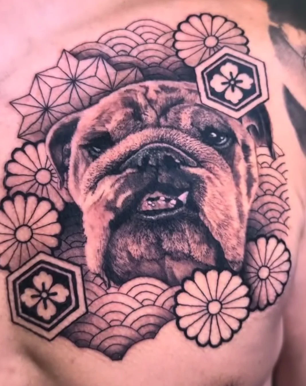 Black-and-grey-tattoo-dog-portrait-by-Zach-Yokoyama.jpg