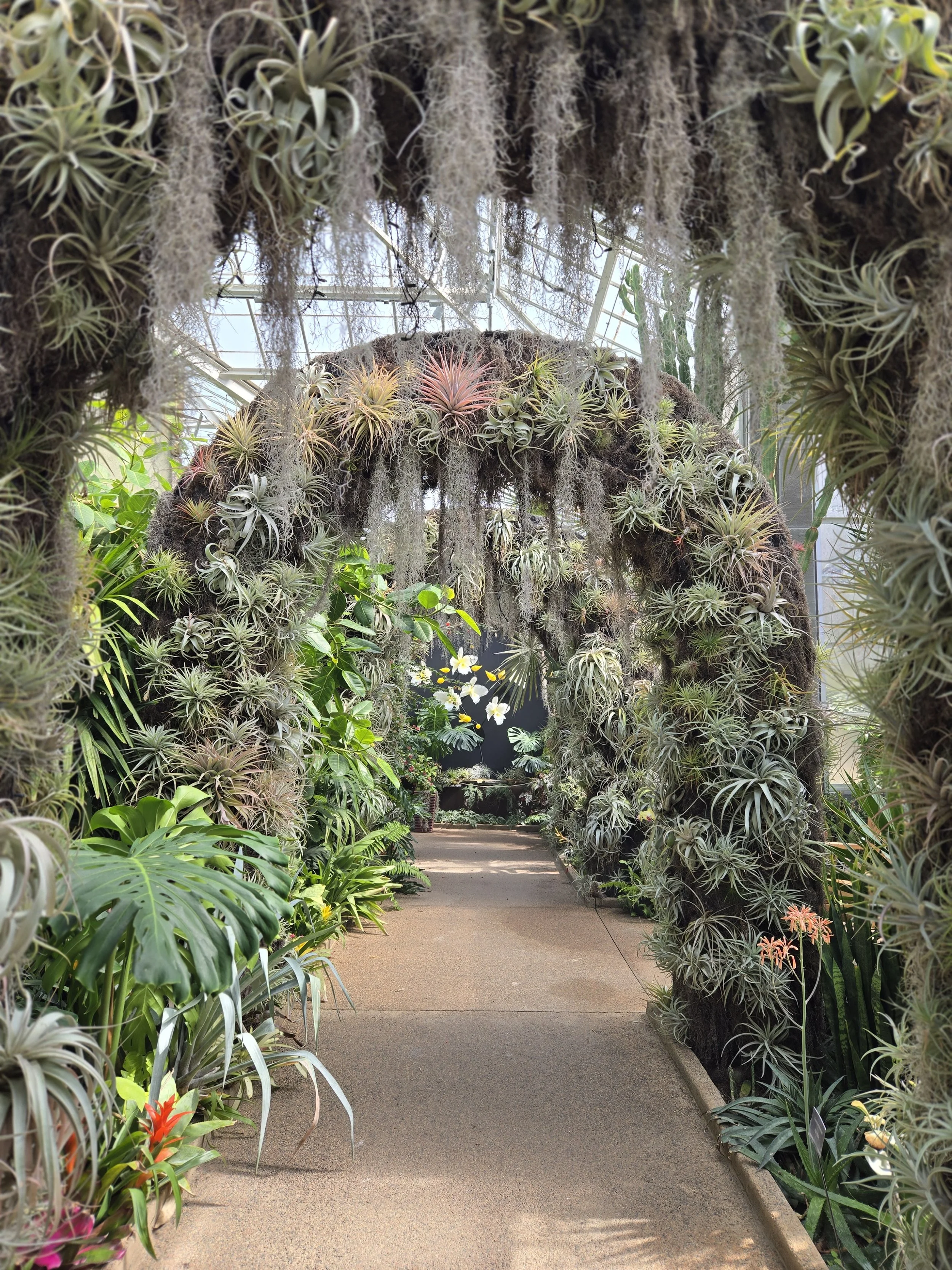 The greenhouse at the Daniel Stowe Botanical Garden