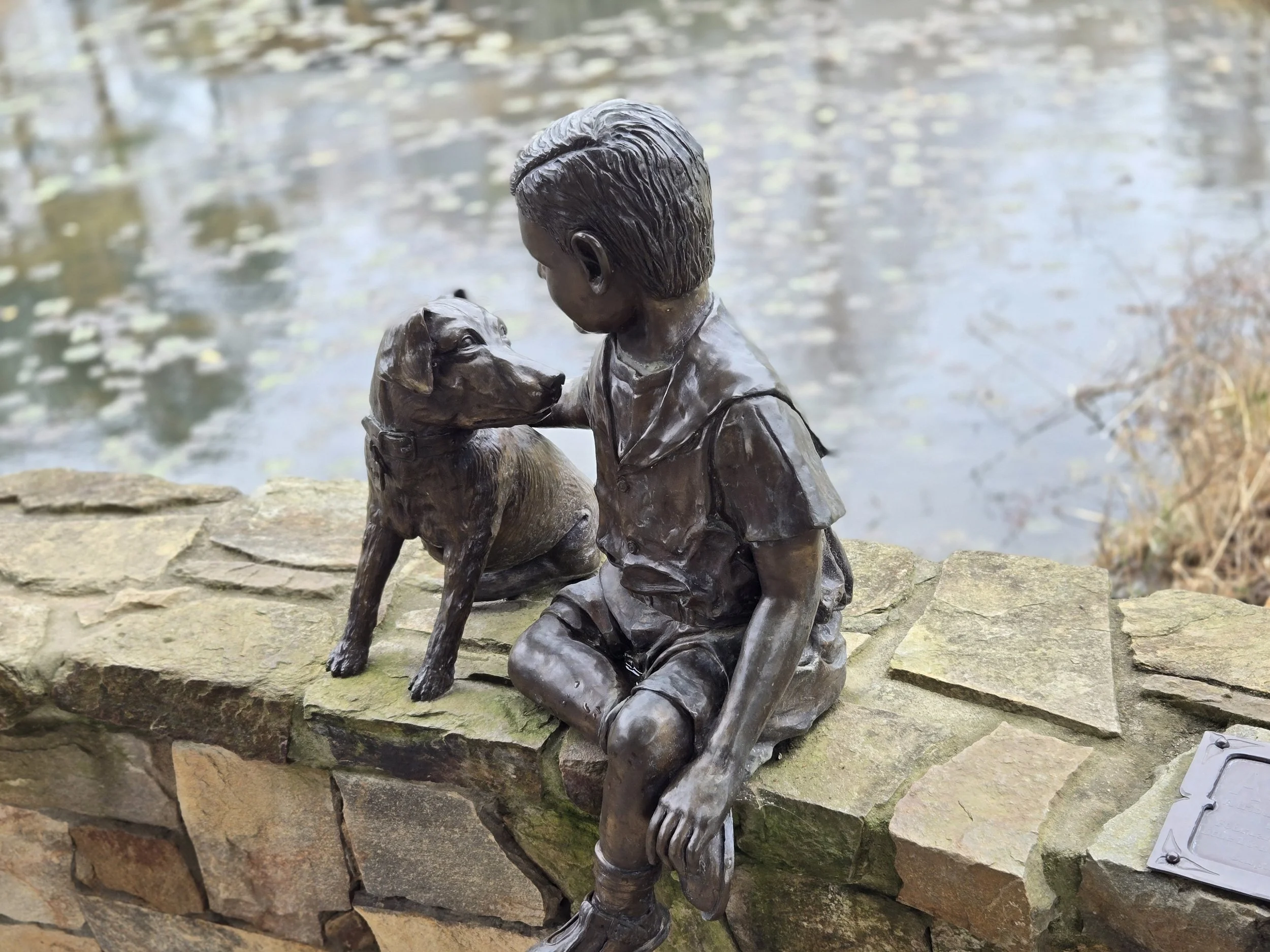 The magic of the Daniel Stowe Botanical Garden