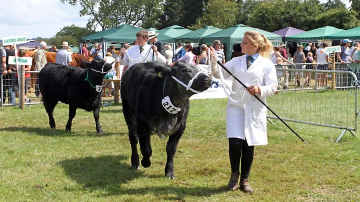Honiton Agricultural Show