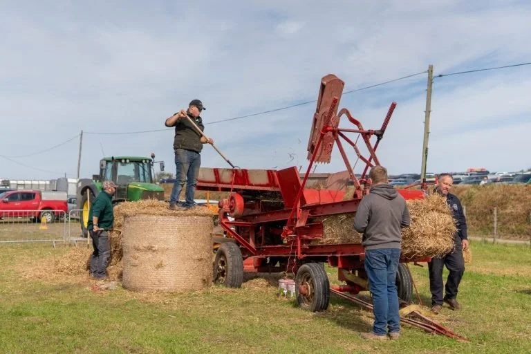 Kingsbridge Show