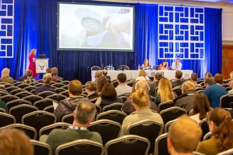 BCVA Congress