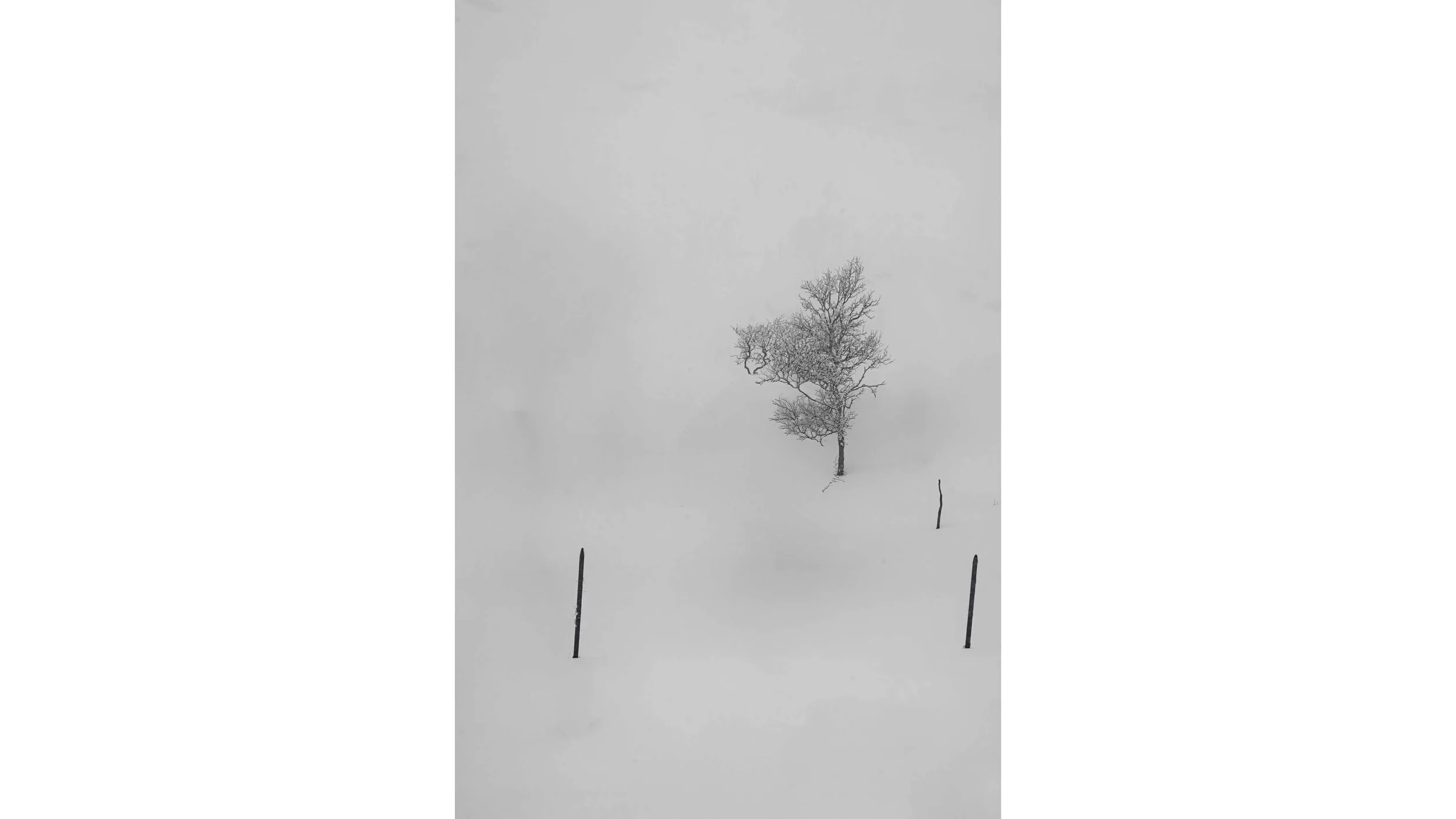 185A73361 croped.jpg