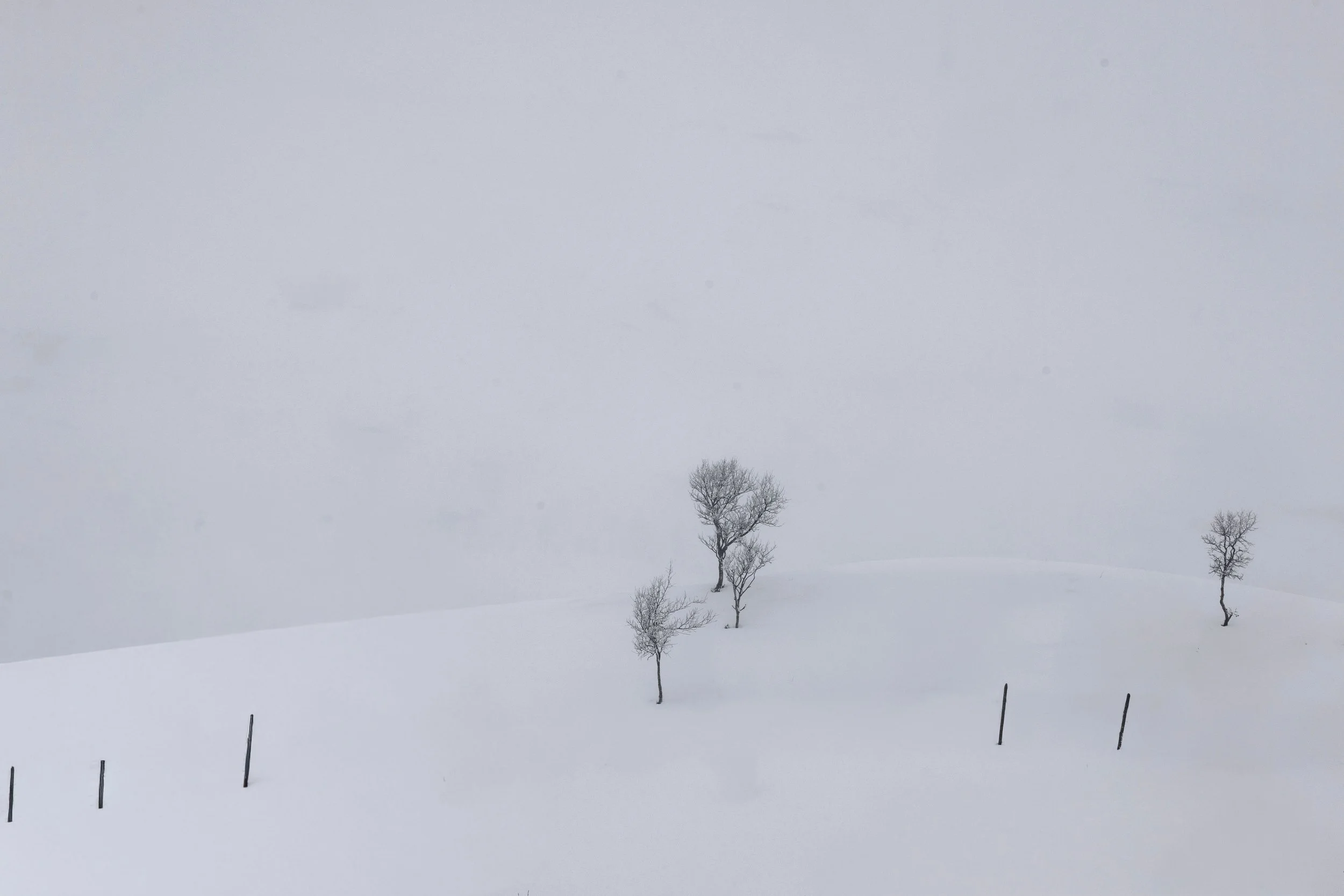Infinite solitude