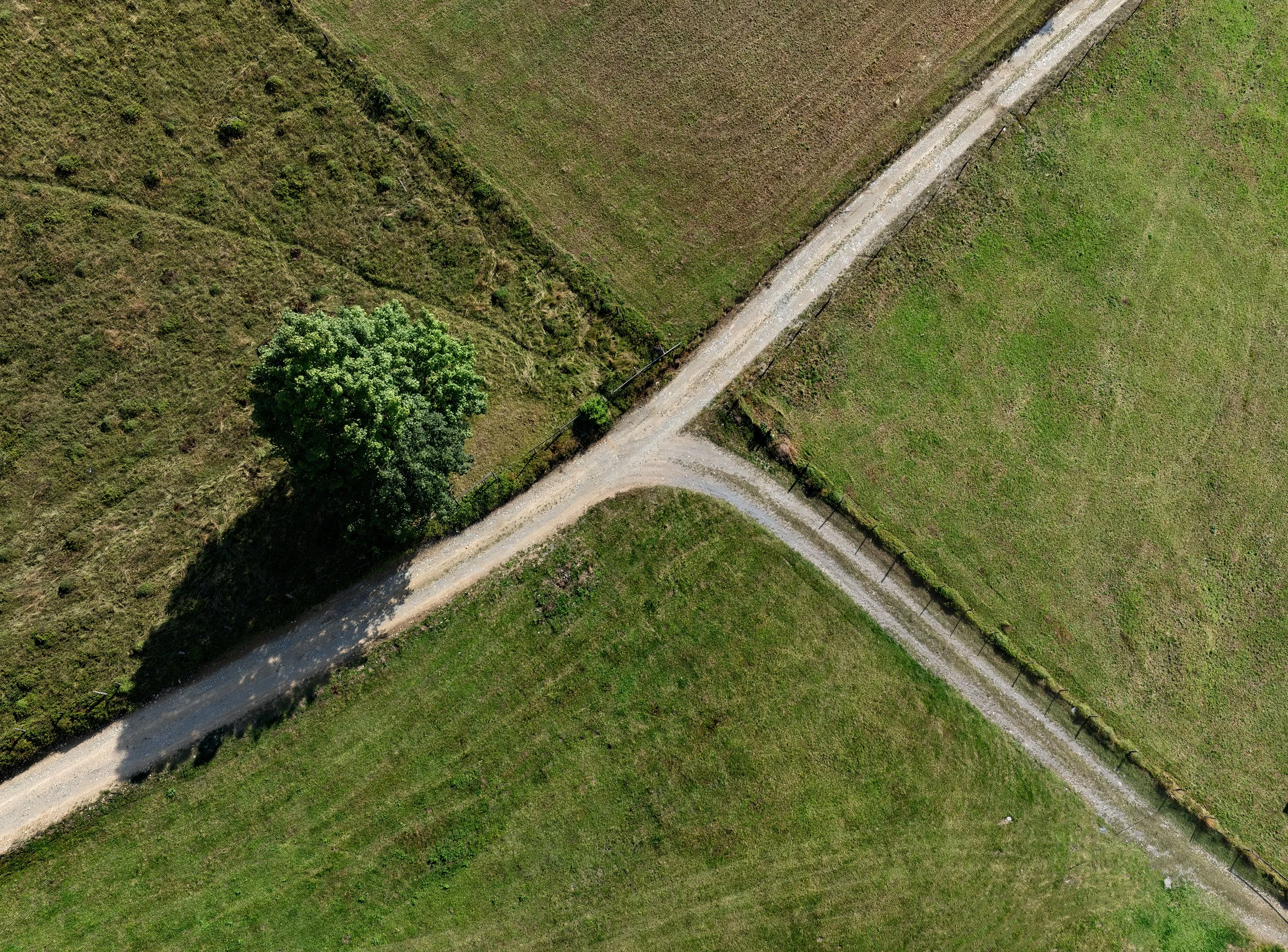 DJI_0345 reduced.jpg