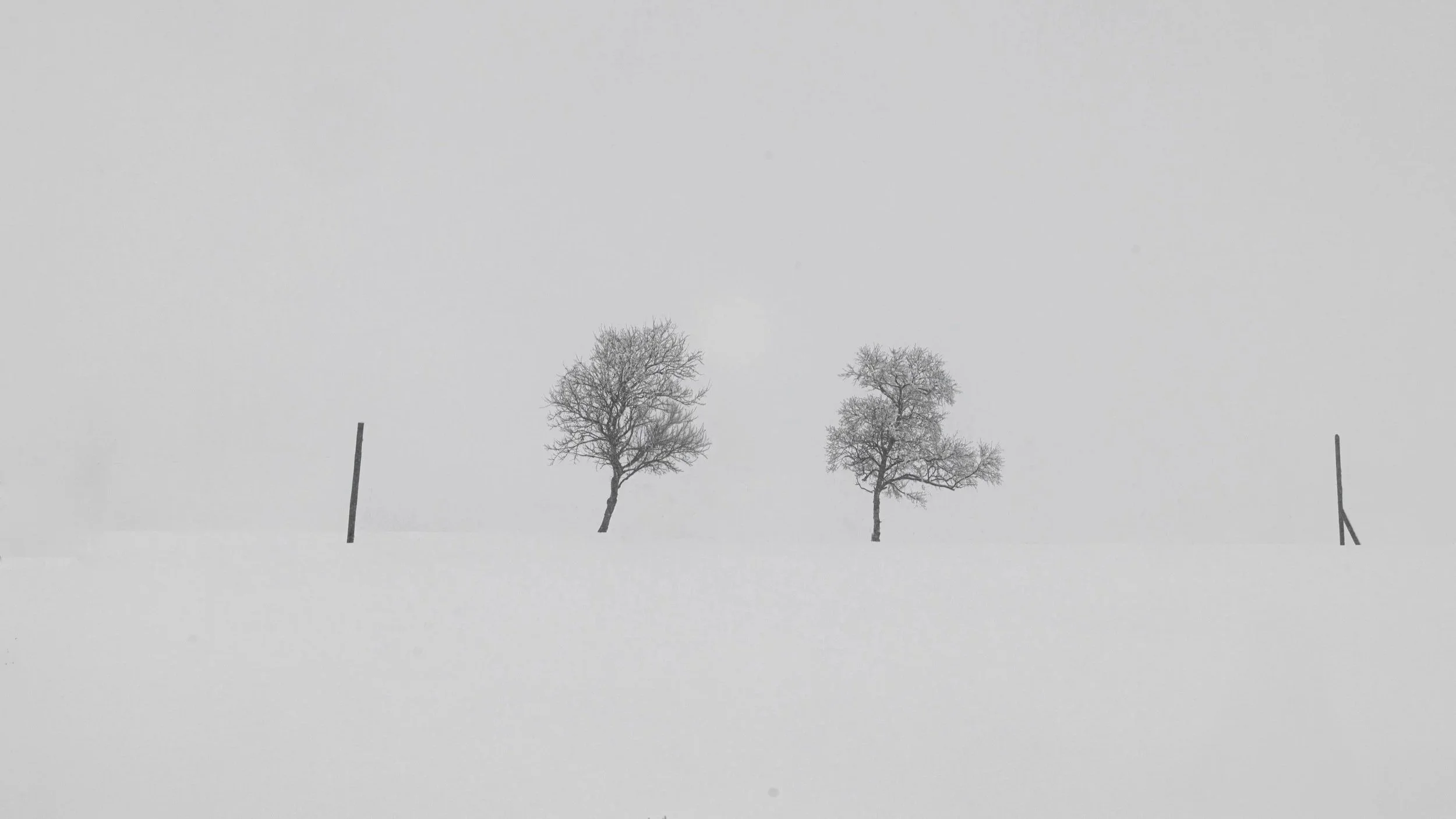 185A7330.jpg