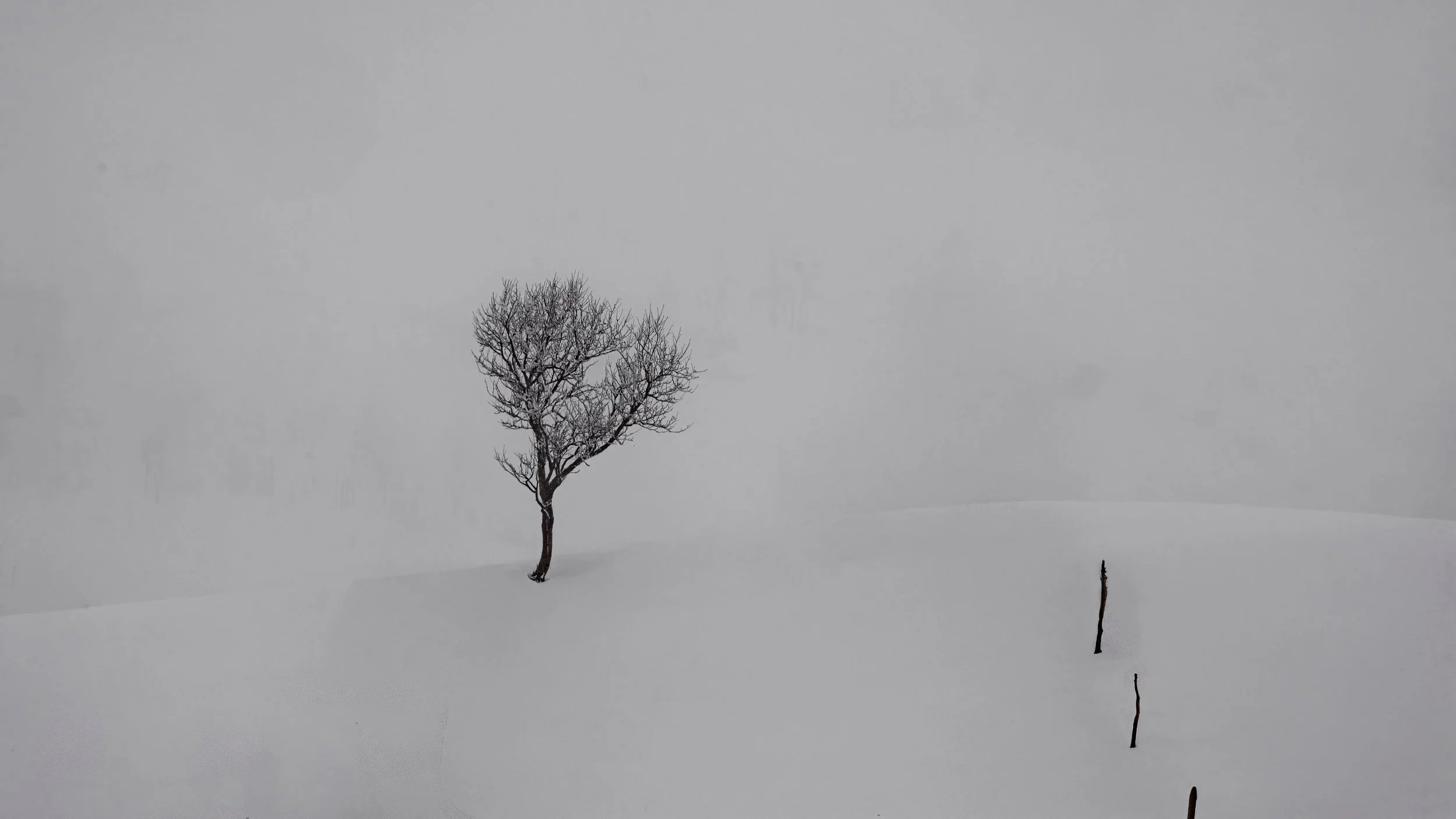 185A7324.jpg