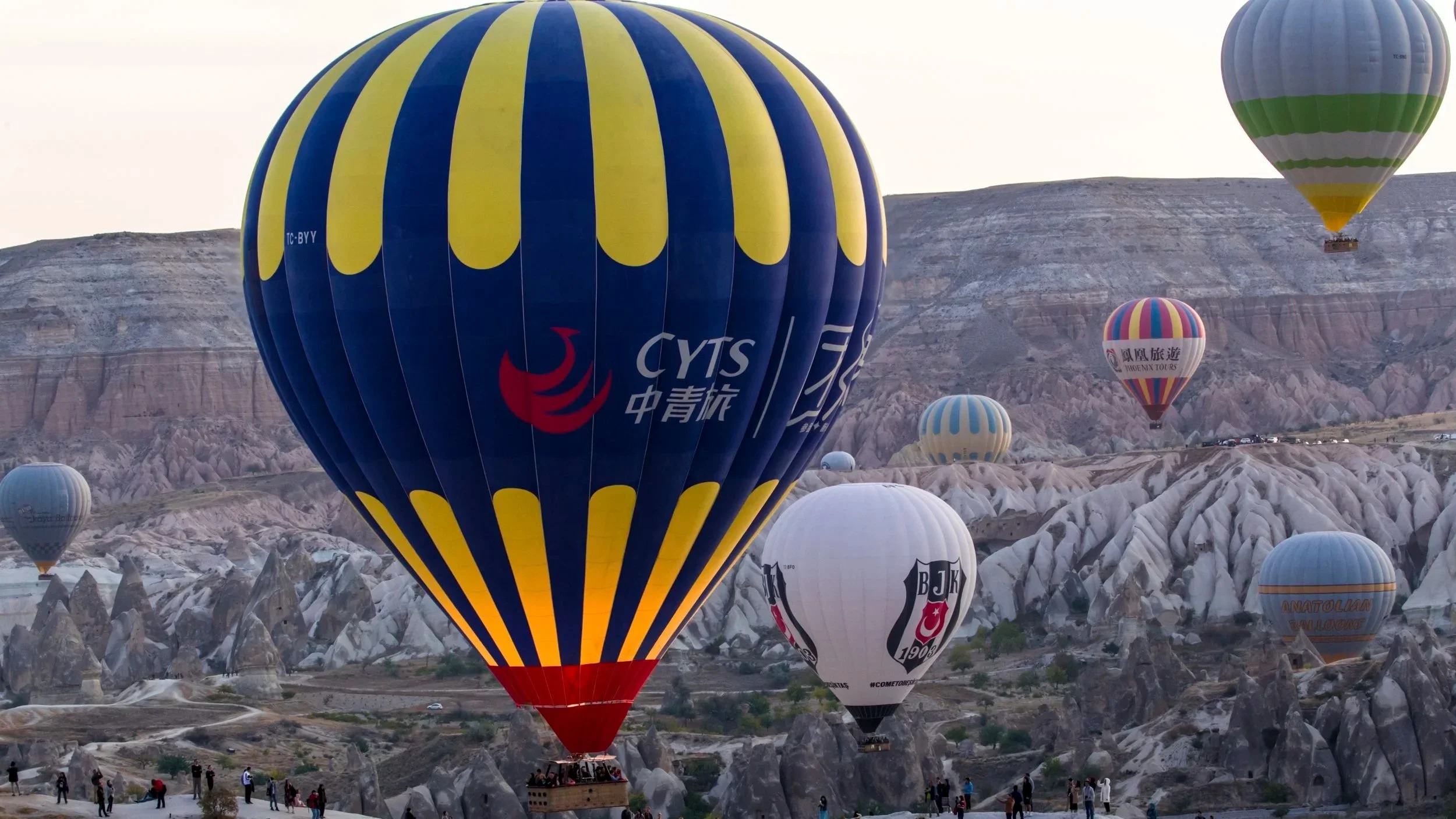 C14G2868.jpg