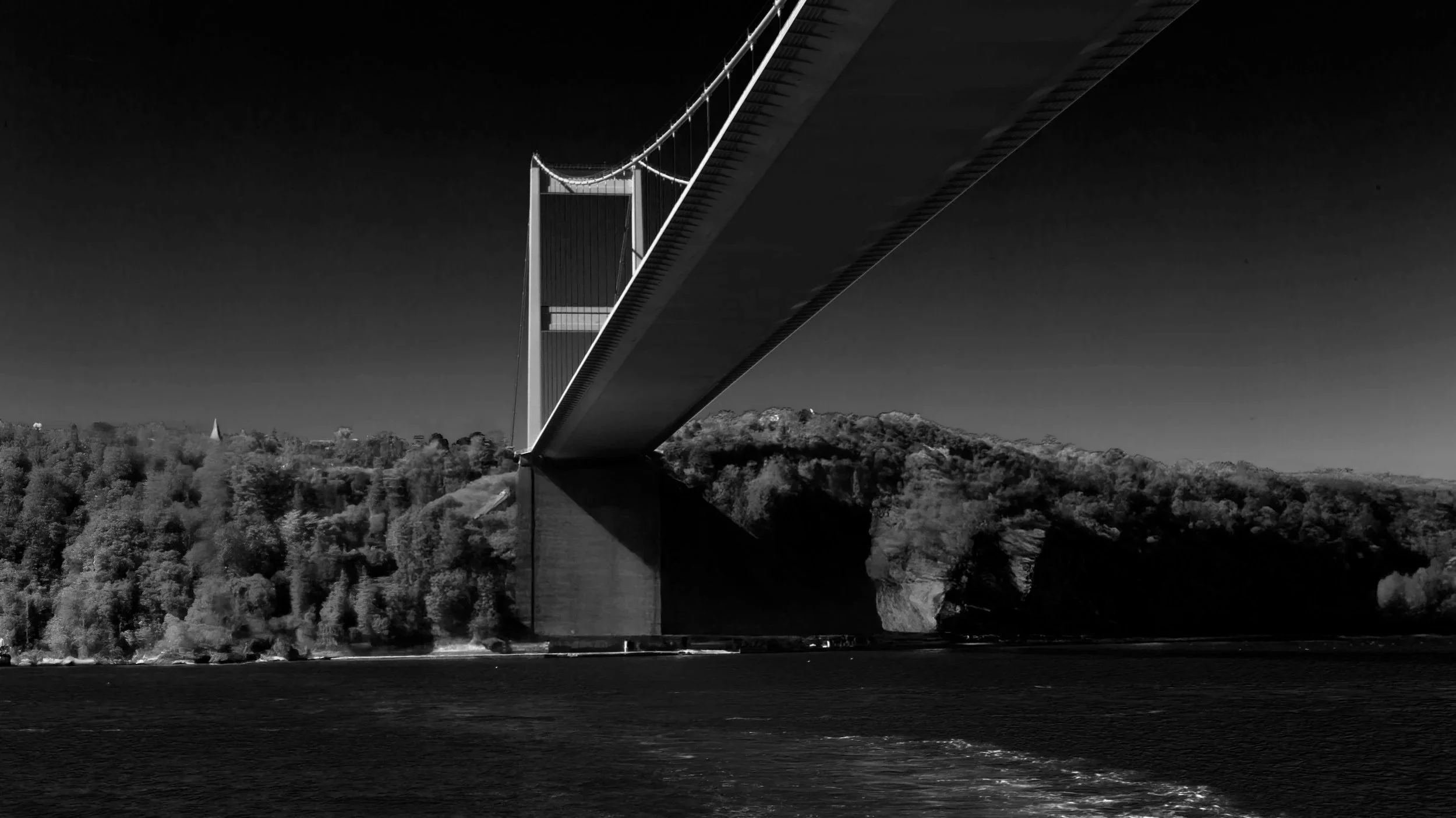 C14G23202+copy.jpg