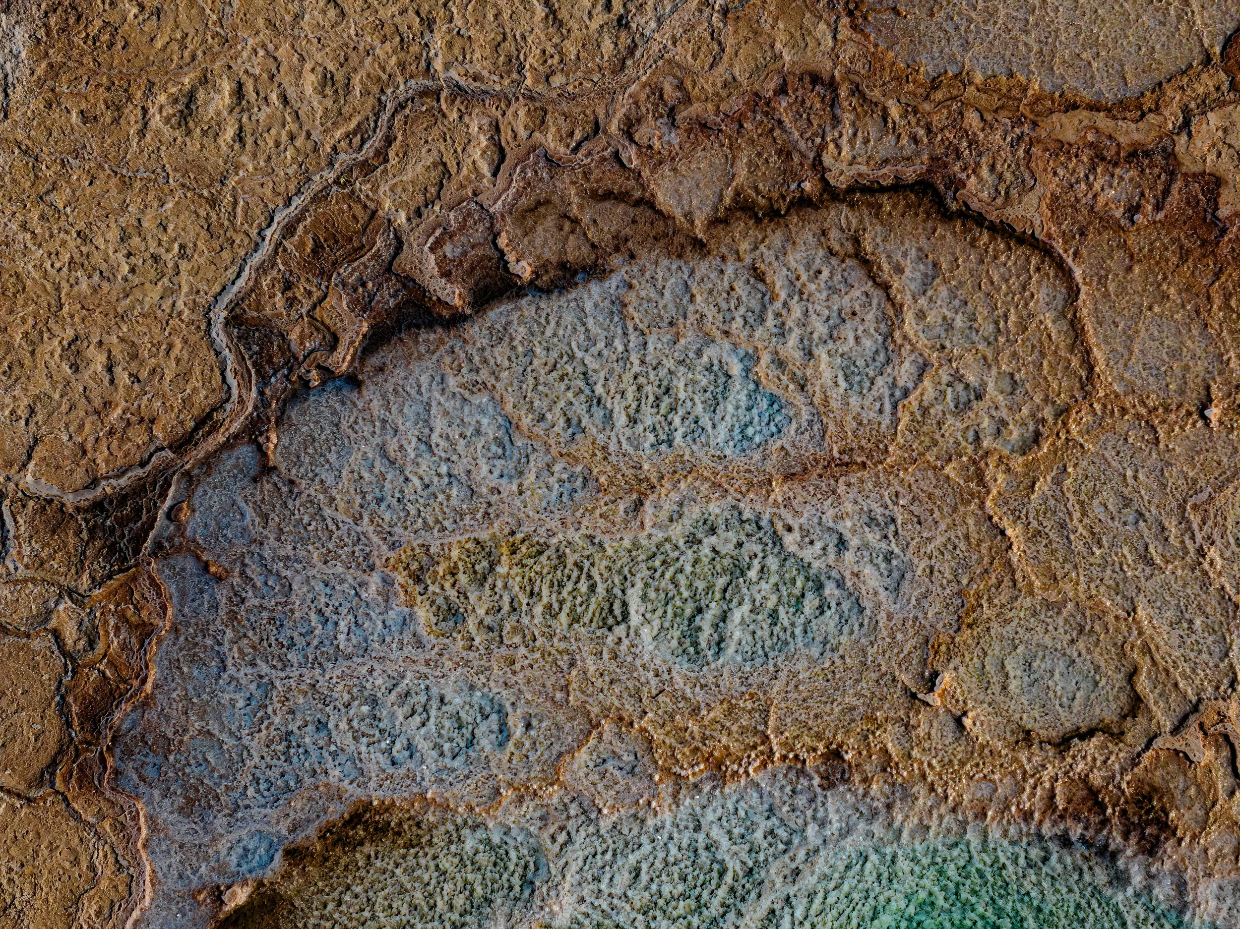 DJI_0694.jpg