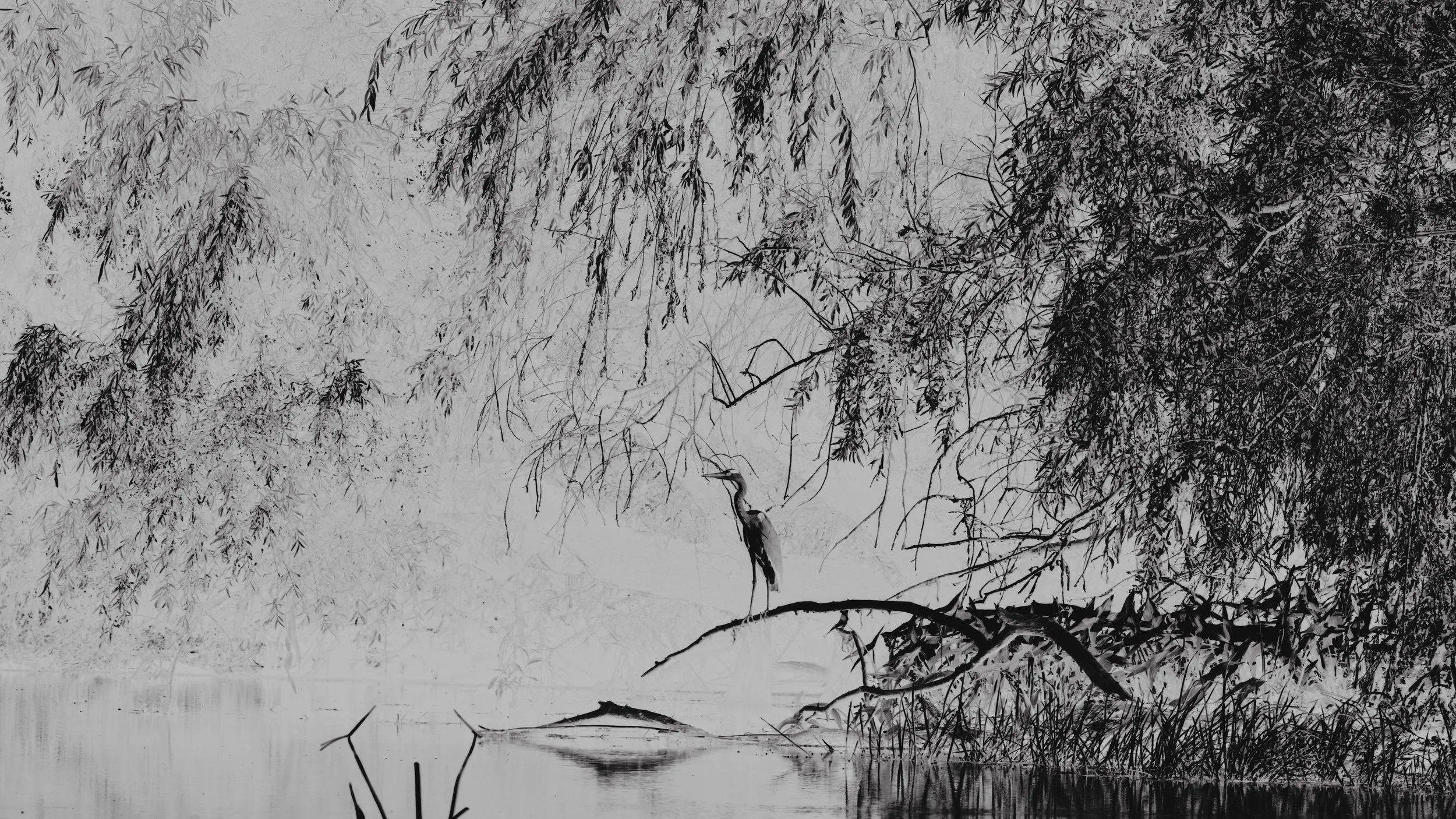 River in the sea