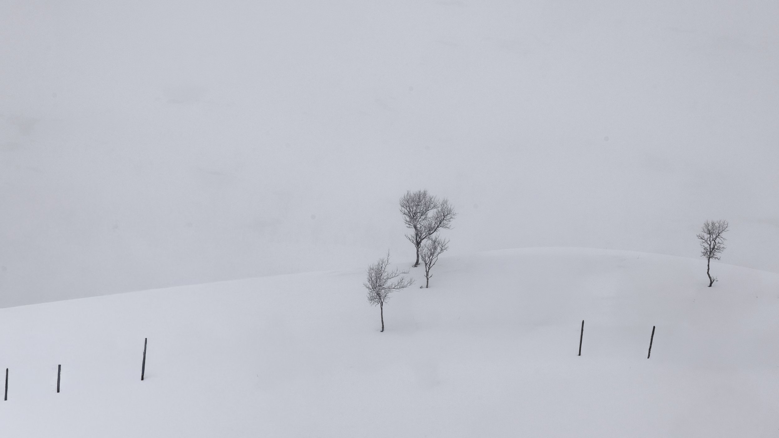 The lone winter planet