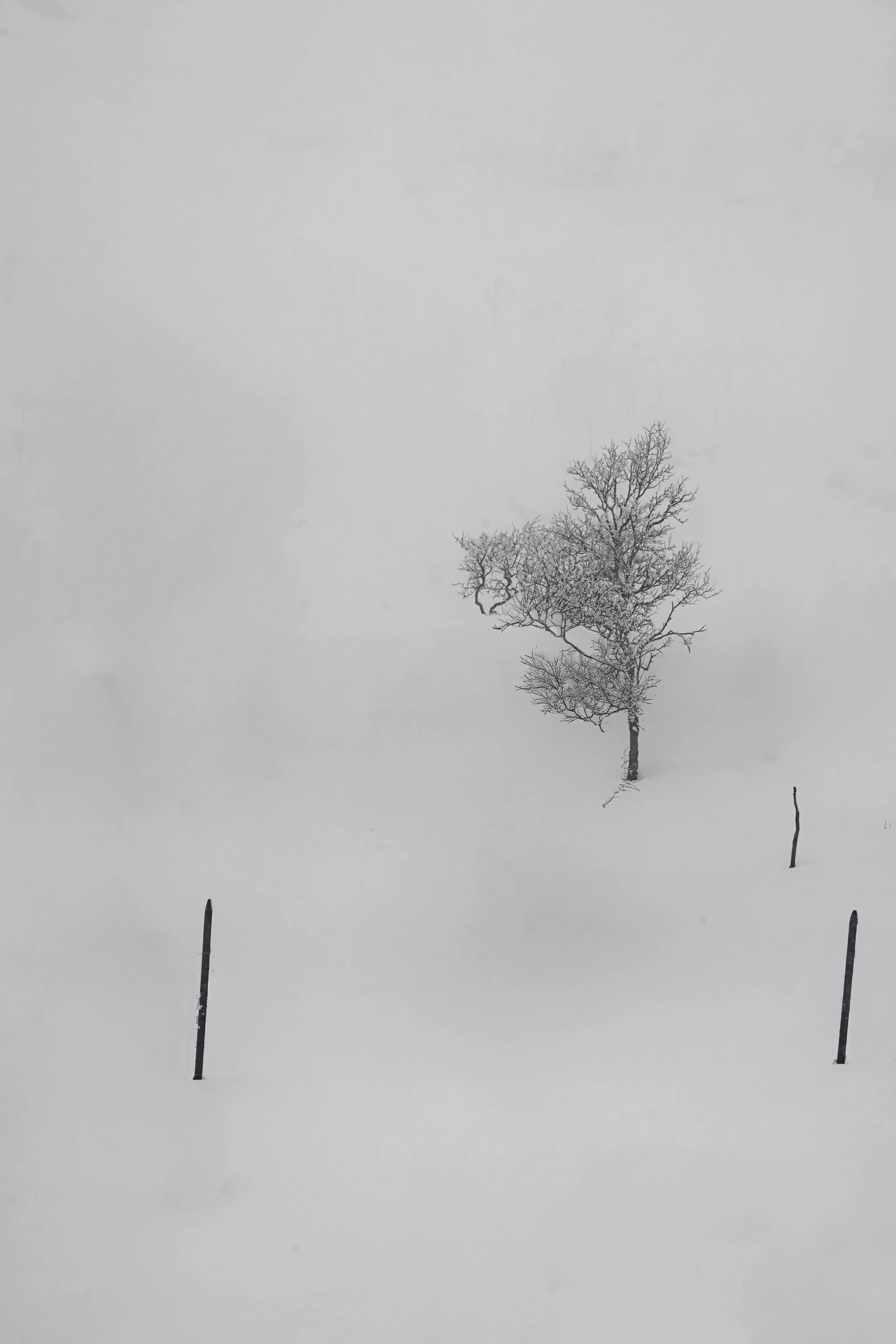 185A7336.jpg