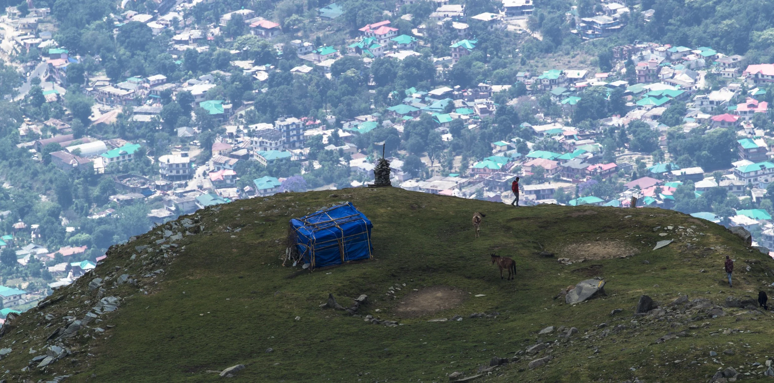 C14G0315.jpg