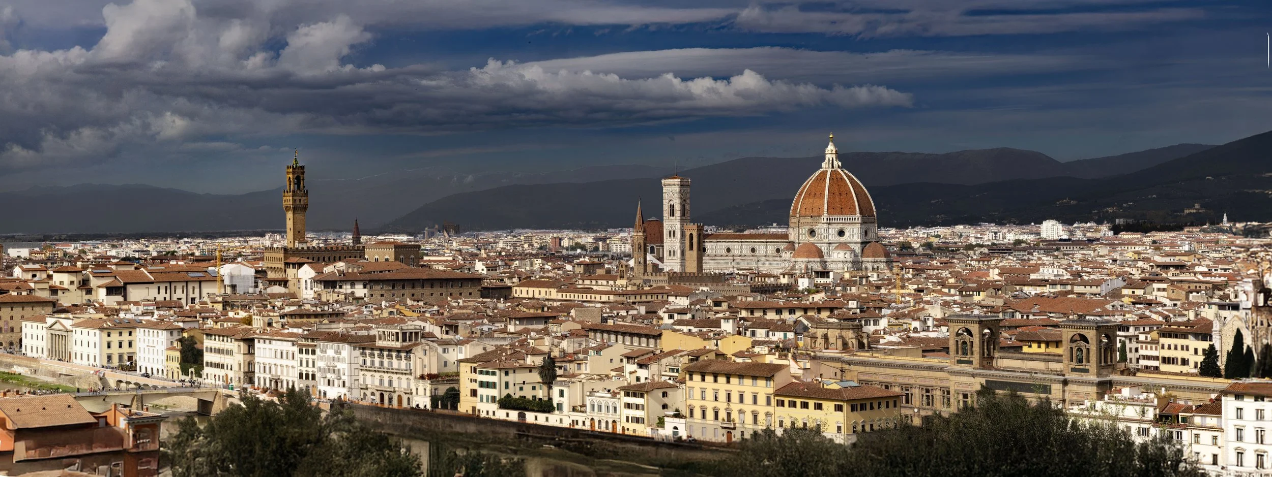 firenze rose garden panorama partial 3 reduced.jpg