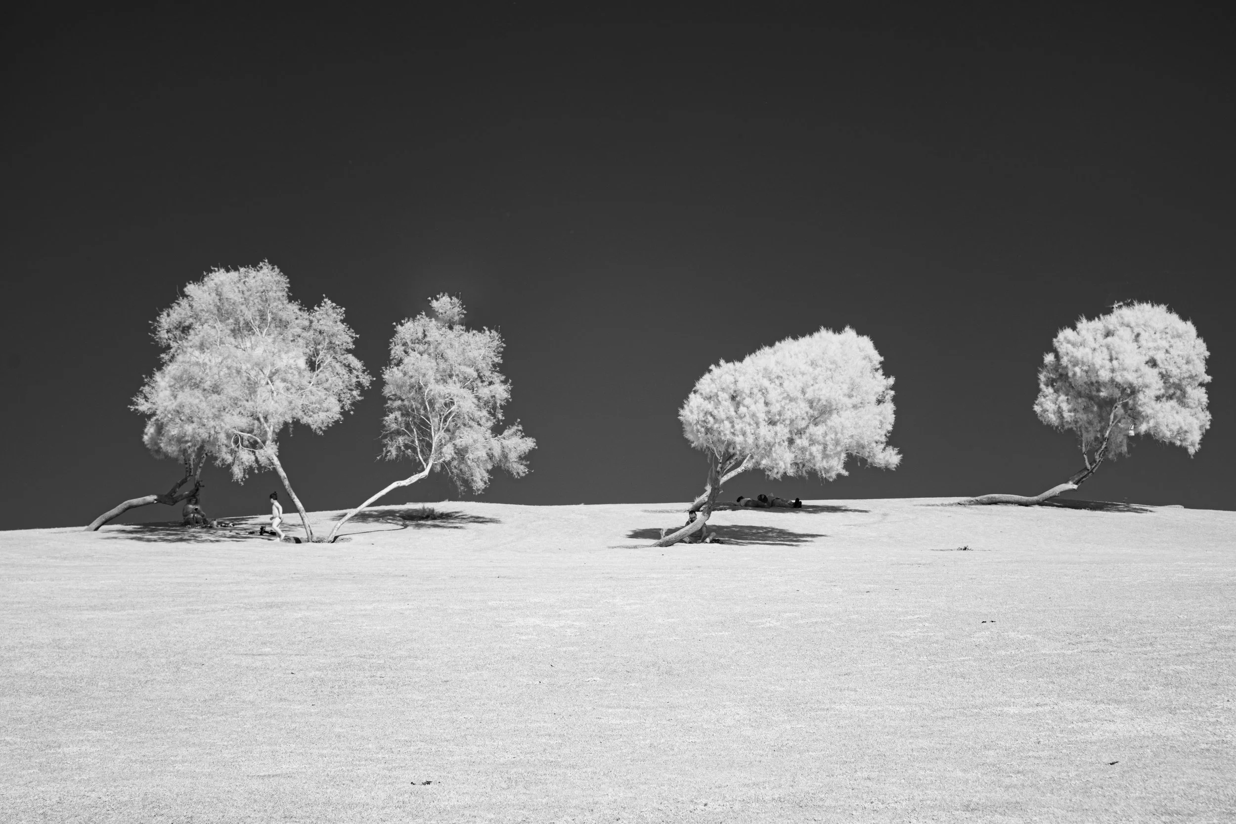 4C6A0301.jpg