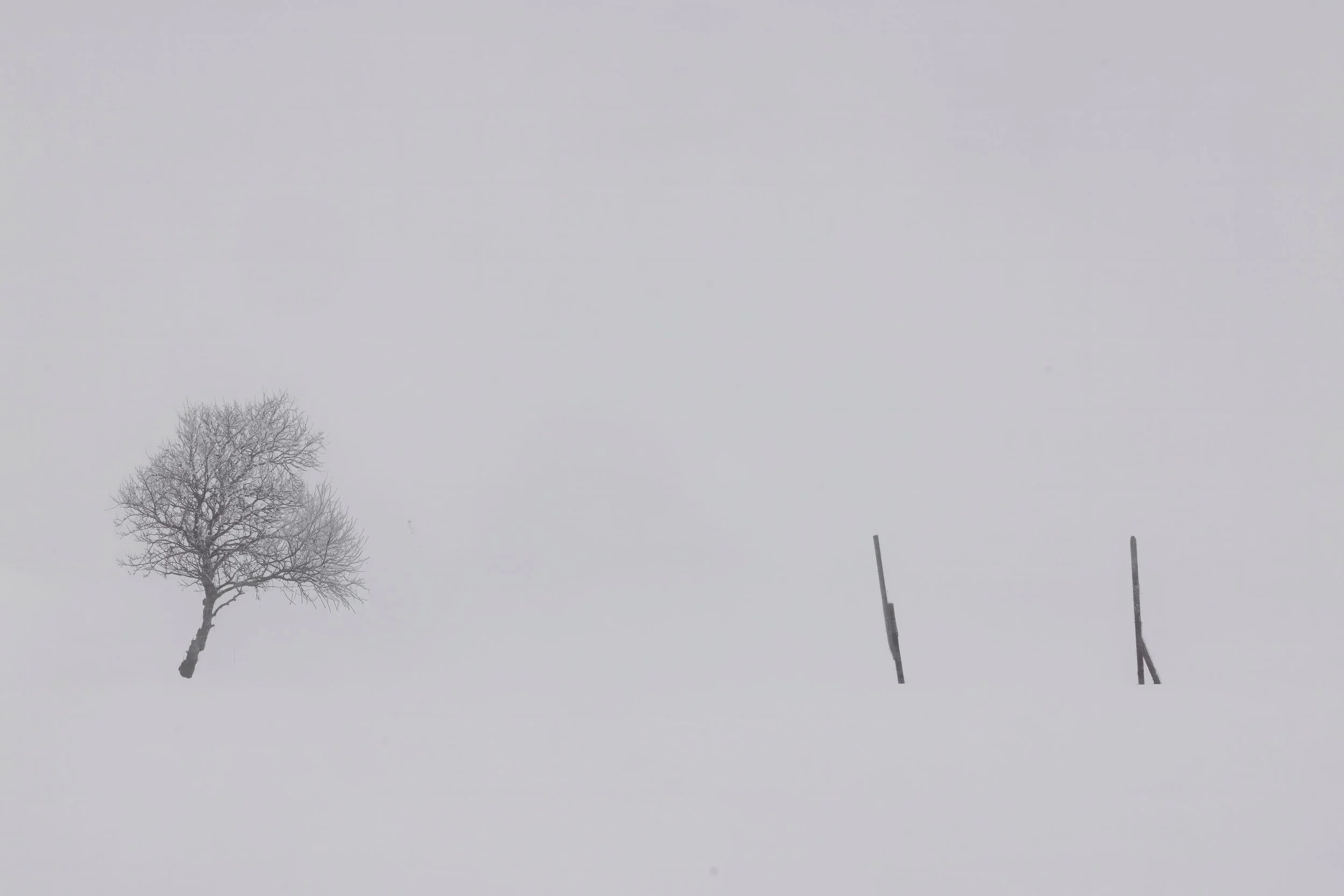185A7334.jpg