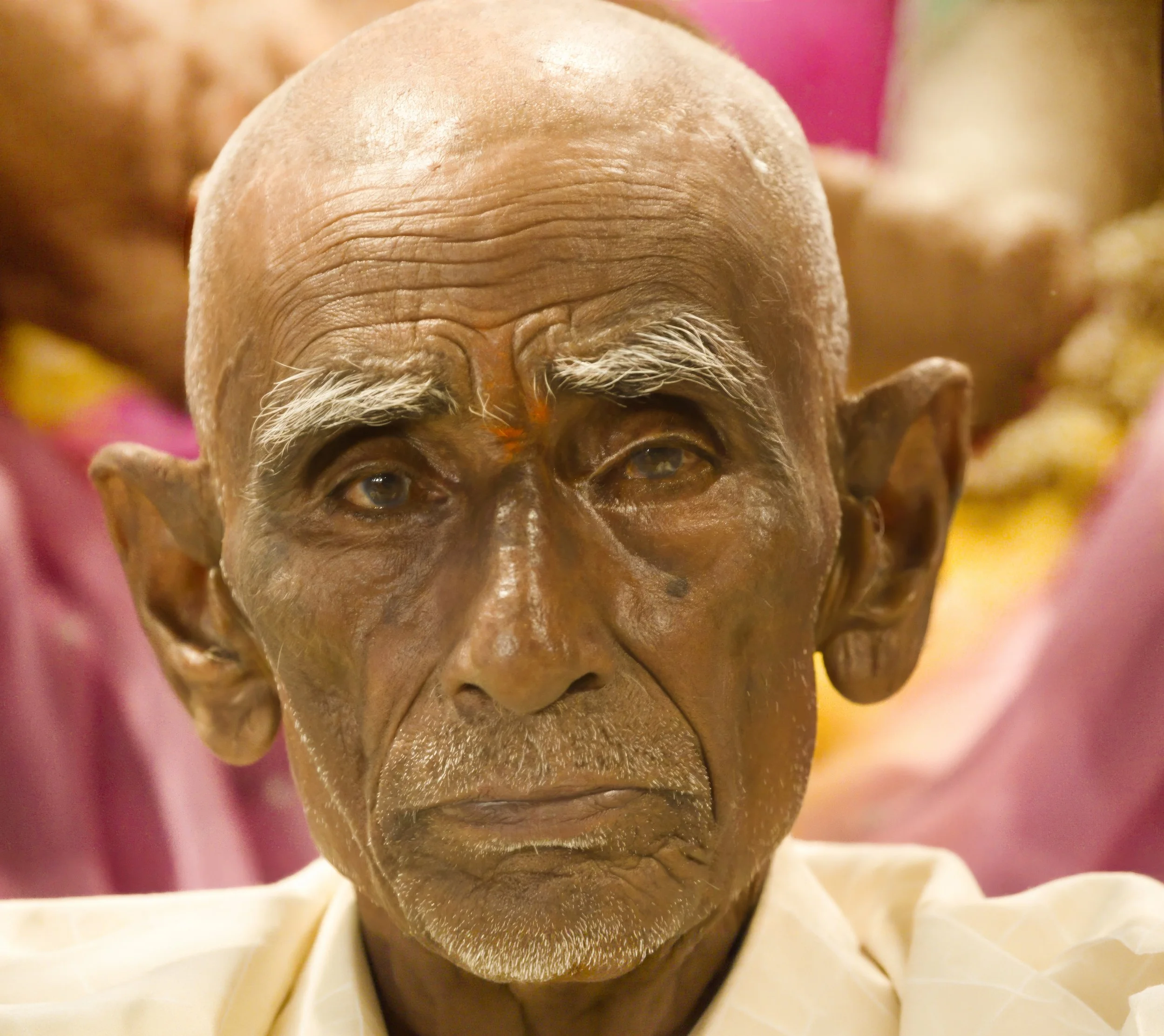 C14G9251.jpg