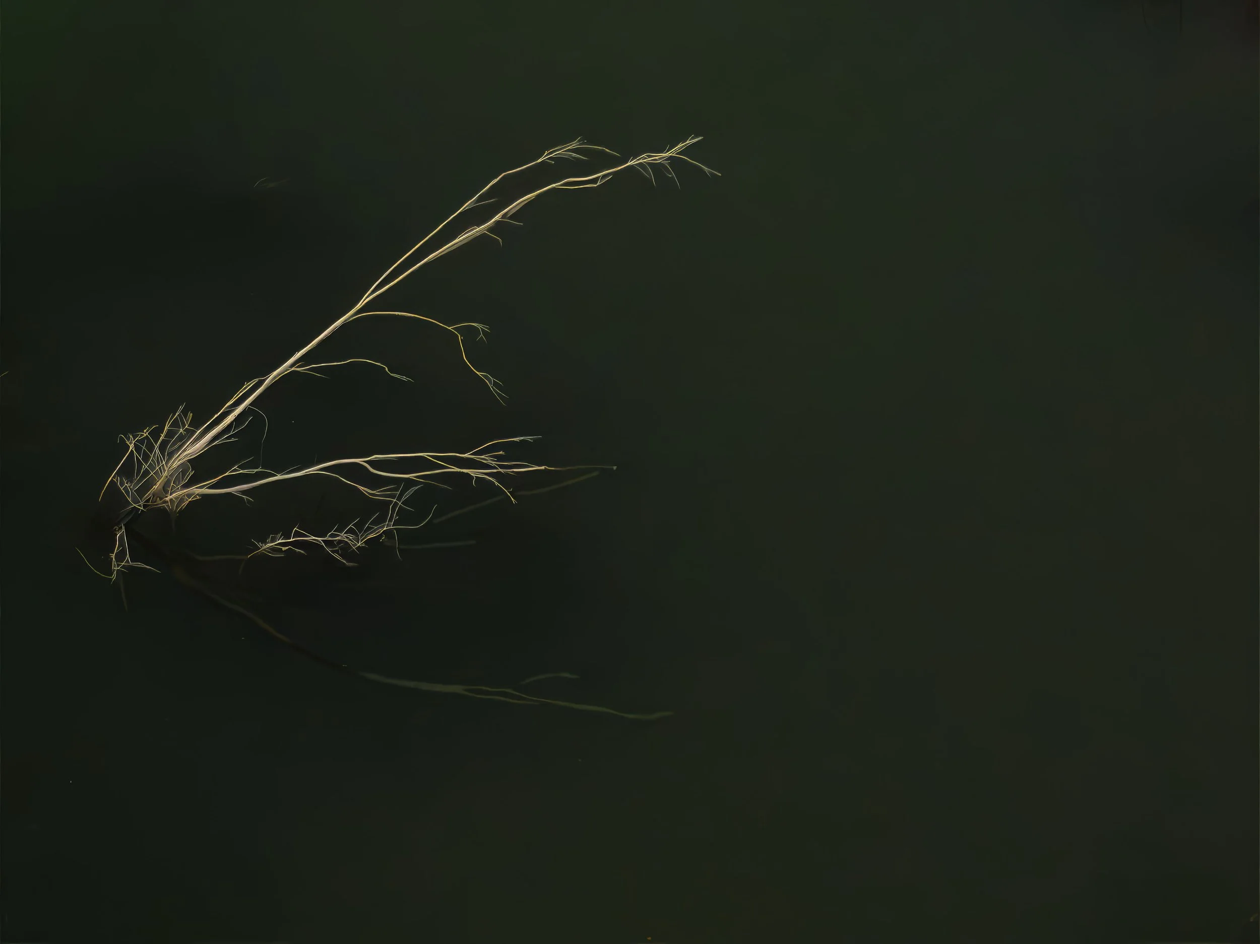 DJI_0080.jpg