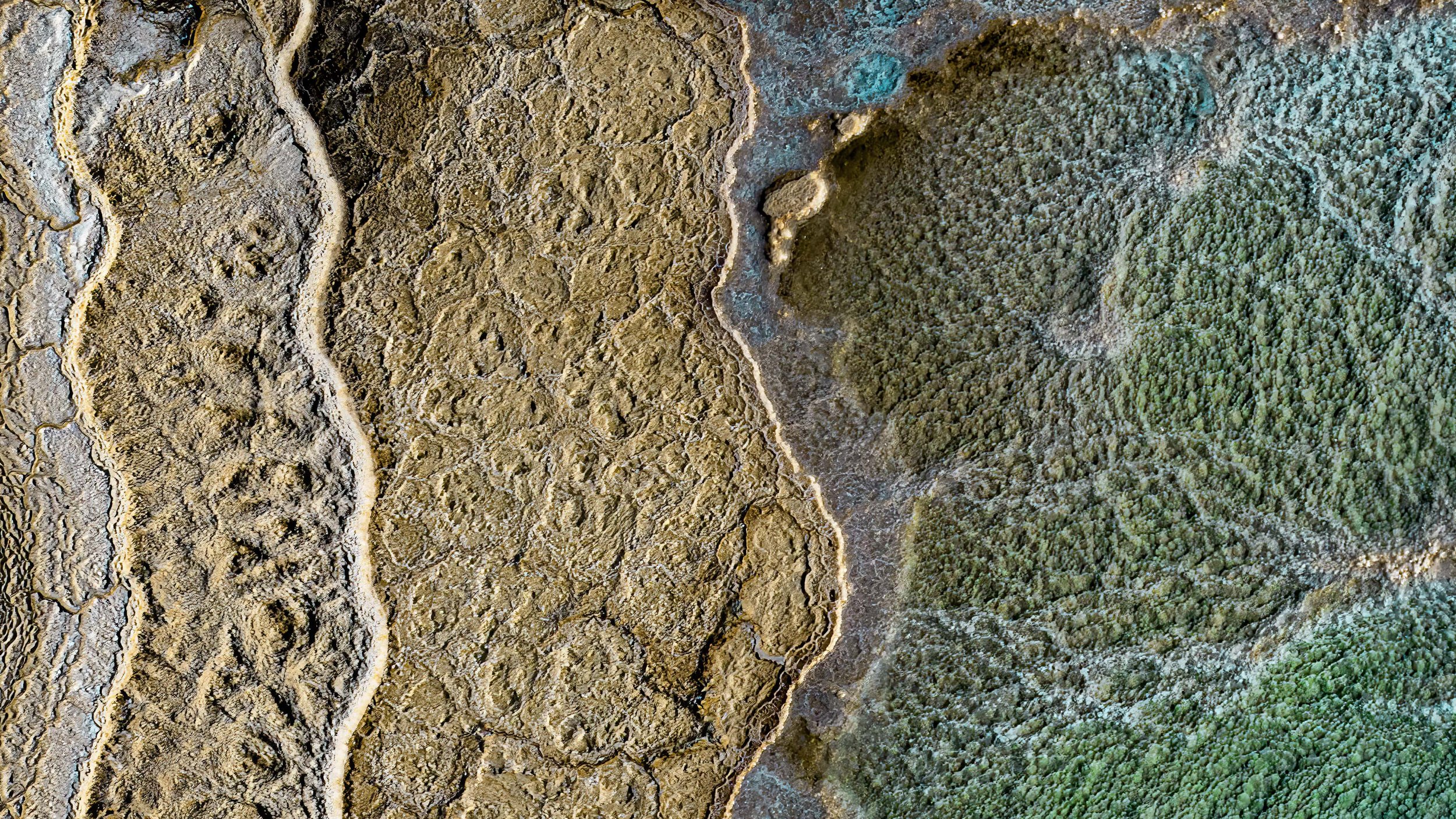 Salt tissue